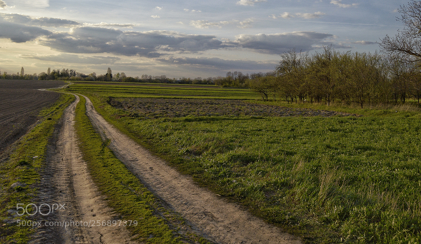 Nikon D3200 sample photo. Untitled photography