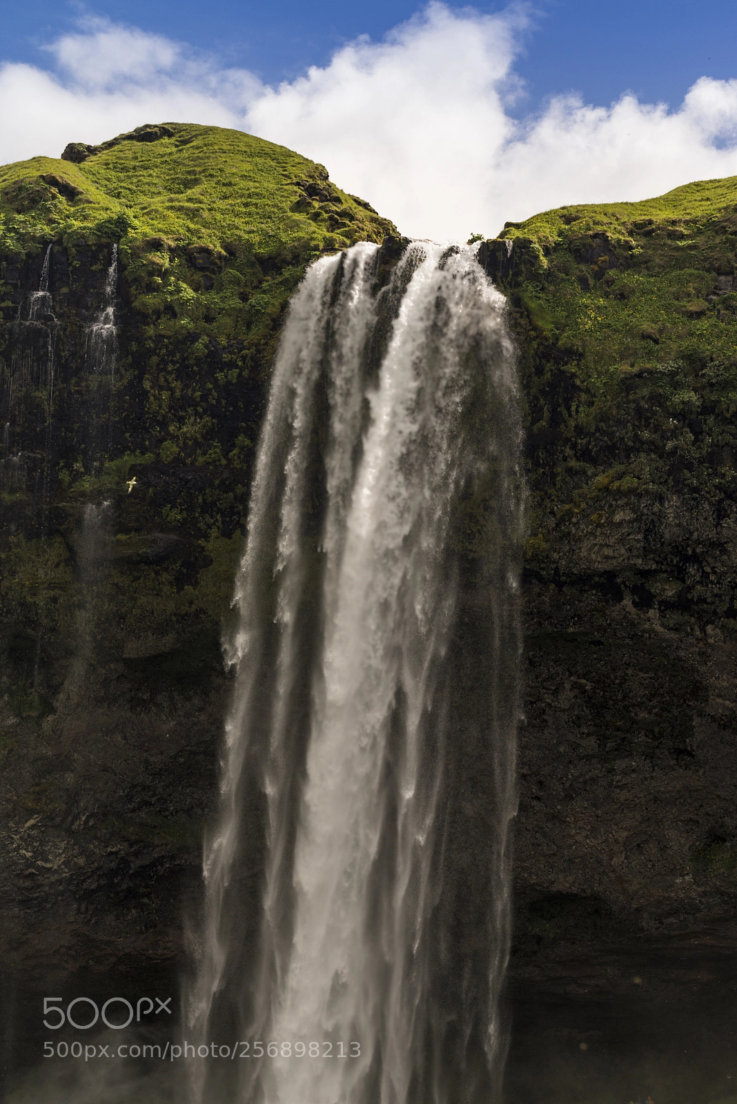 Sony a7R sample photo. Flyby photography