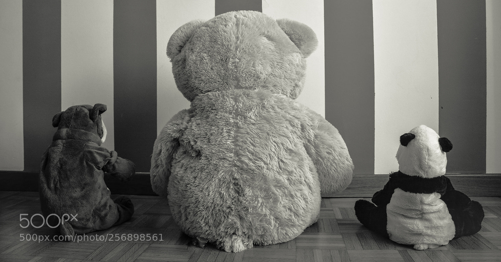 Nikon D7100 sample photo. Peluches photography