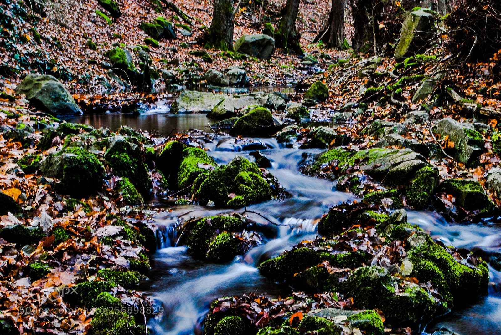 Nikon D3000 sample photo. Untitled photography