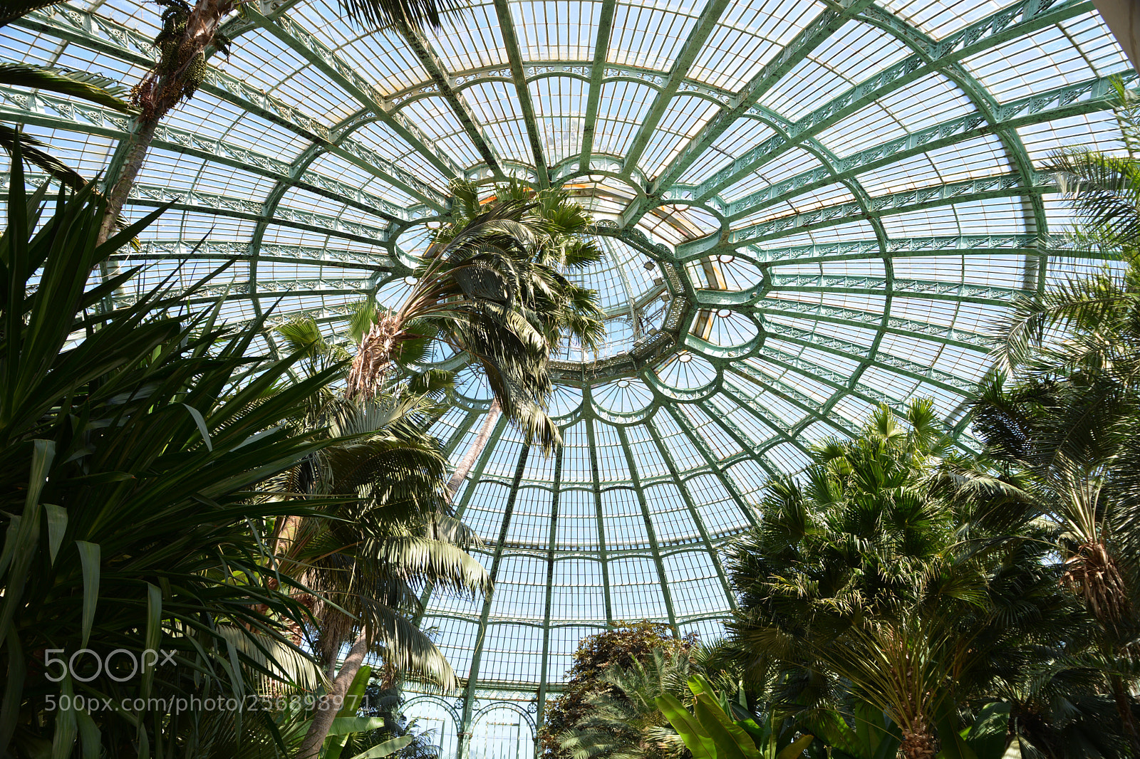 Nikon D7100 sample photo. Royal greenhouses of laeken photography