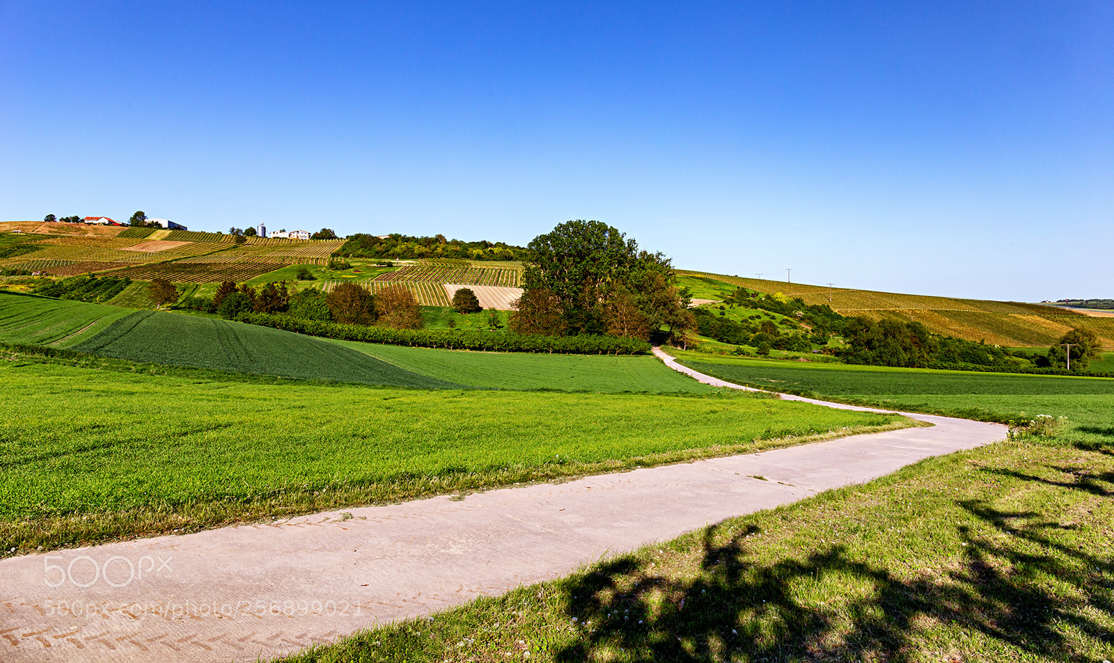 Canon EOS 6D sample photo. Rural landscape ii photography