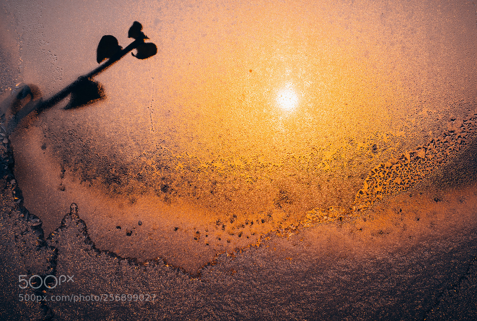 Nikon D7100 sample photo. Frosty sunrise photography