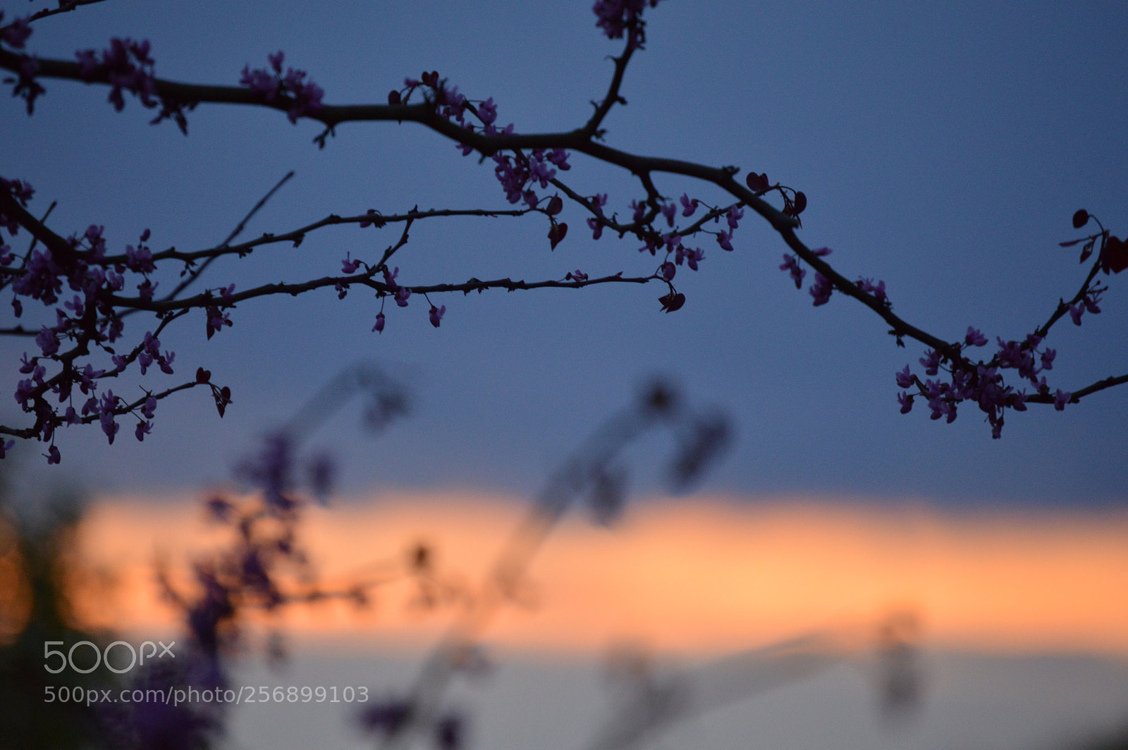 Nikon D3200 sample photo. Sunset photography