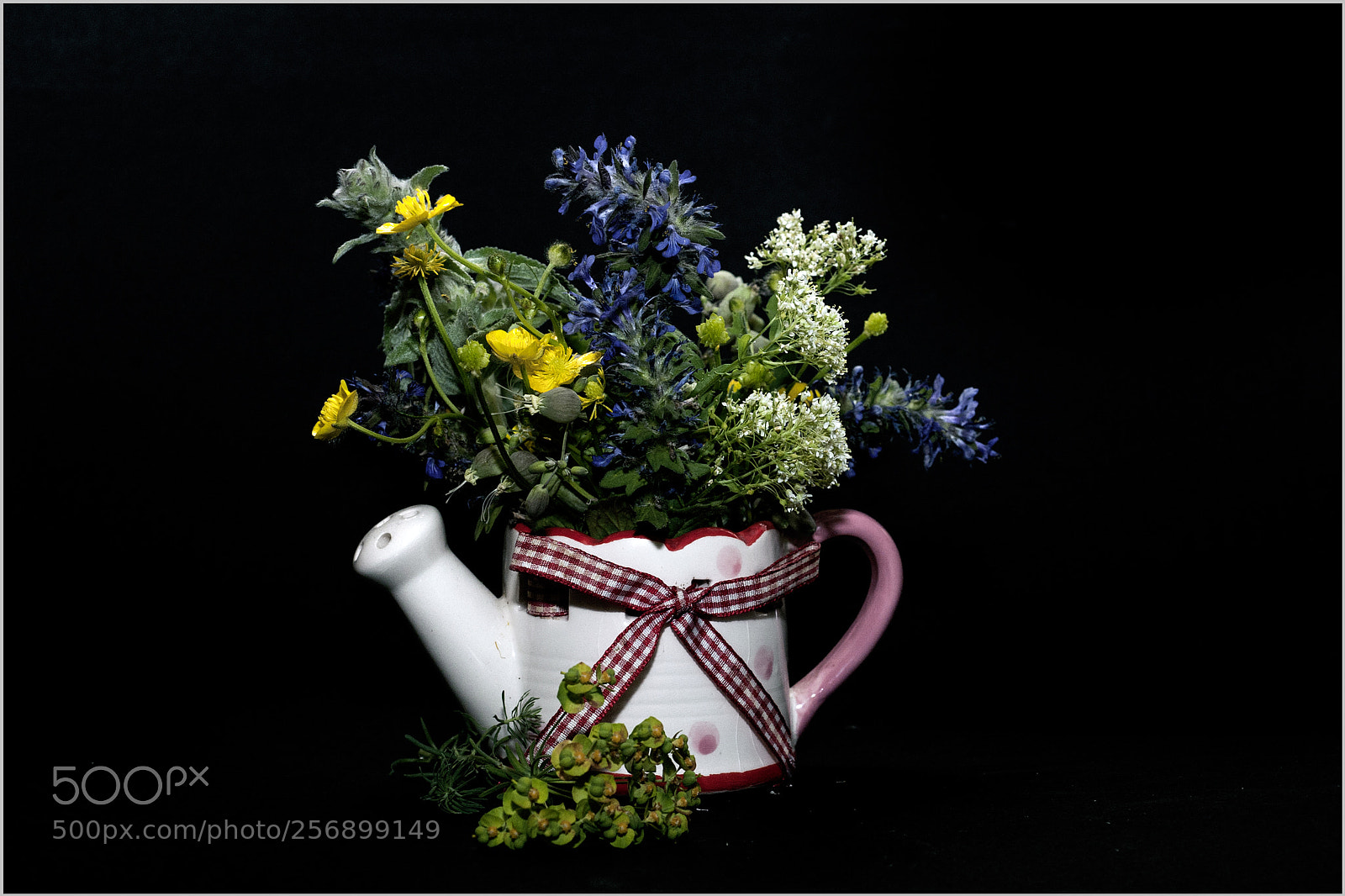 Nikon D700 sample photo. *** photography