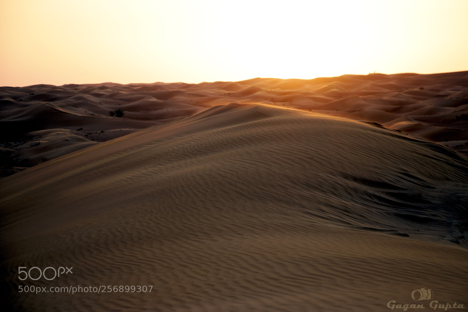 Canon EOS 760D (EOS Rebel T6s / EOS 8000D) sample photo. A sunset in the photography