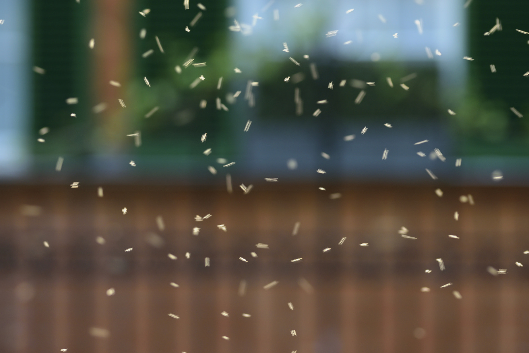 Sigma 105mm F2.8 EX DG OS HSM sample photo. Swarm photography