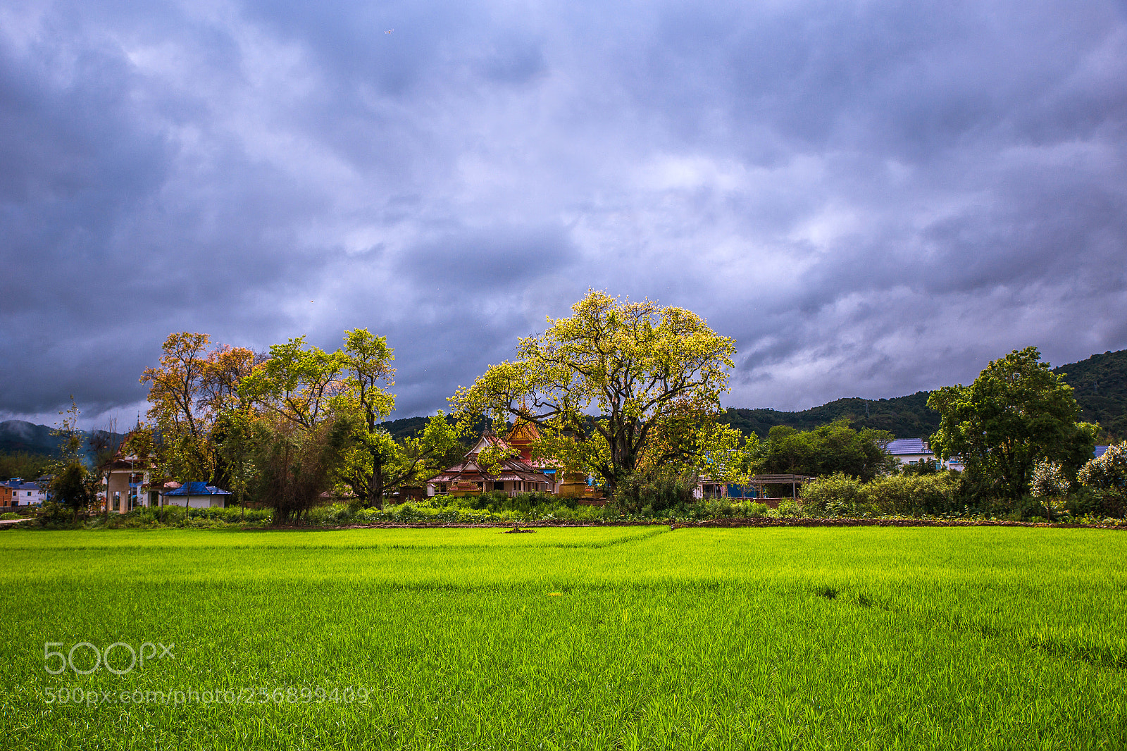 Canon EOS 6D sample photo. 01.jpg photography