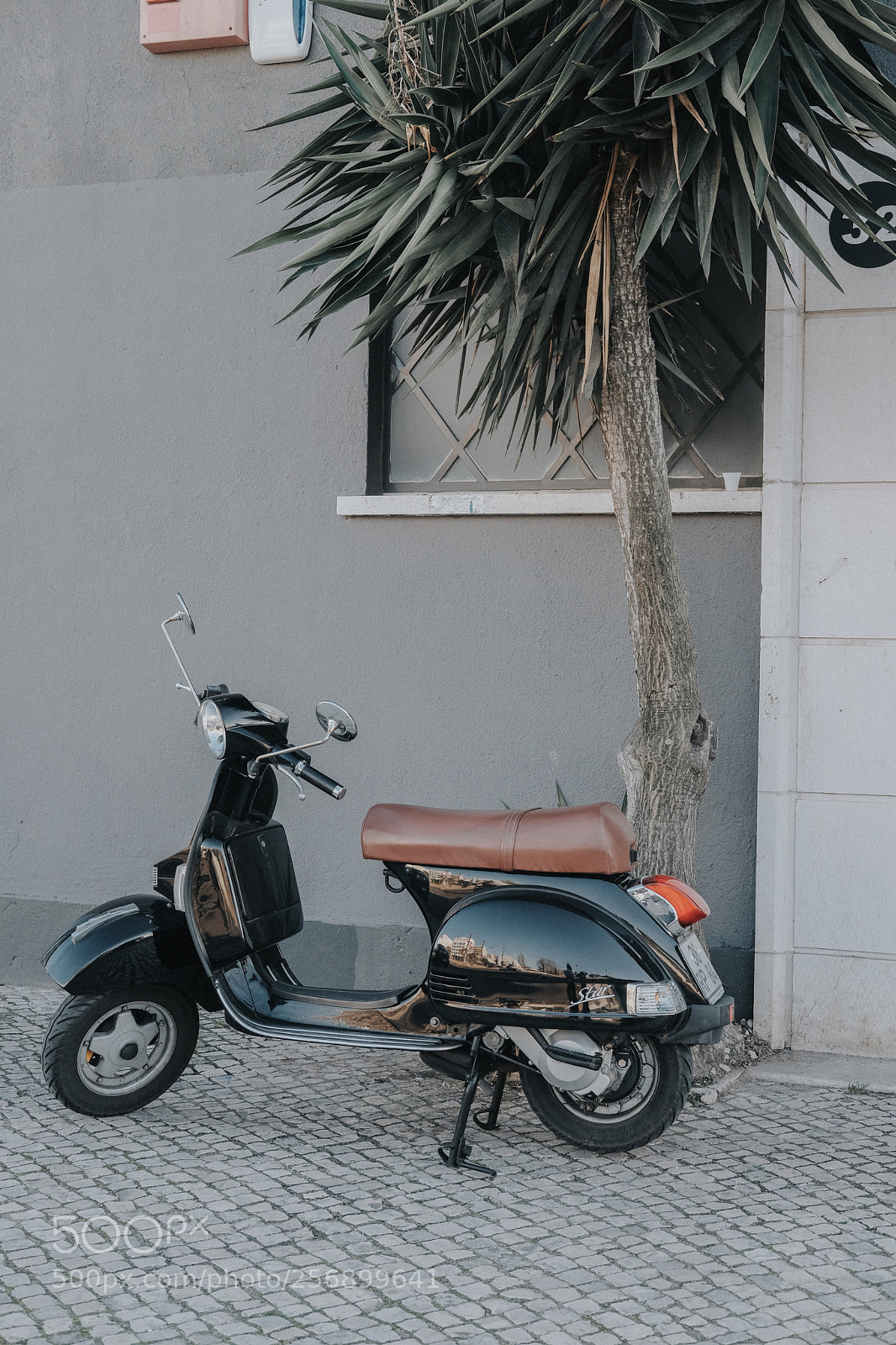Fujifilm X-T20 sample photo. Untitled photography
