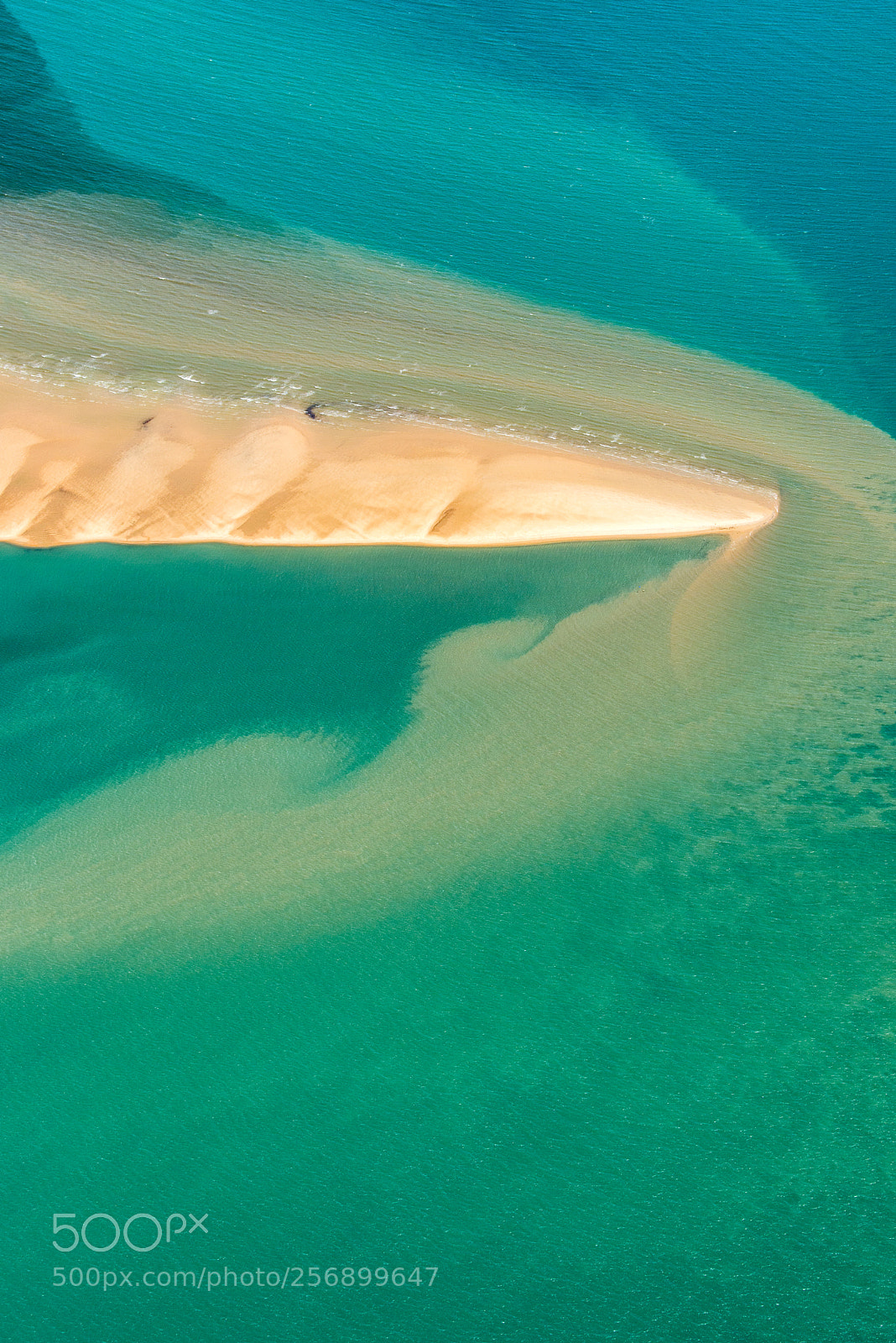 Nikon D810 sample photo. Ponta de corumbau photography