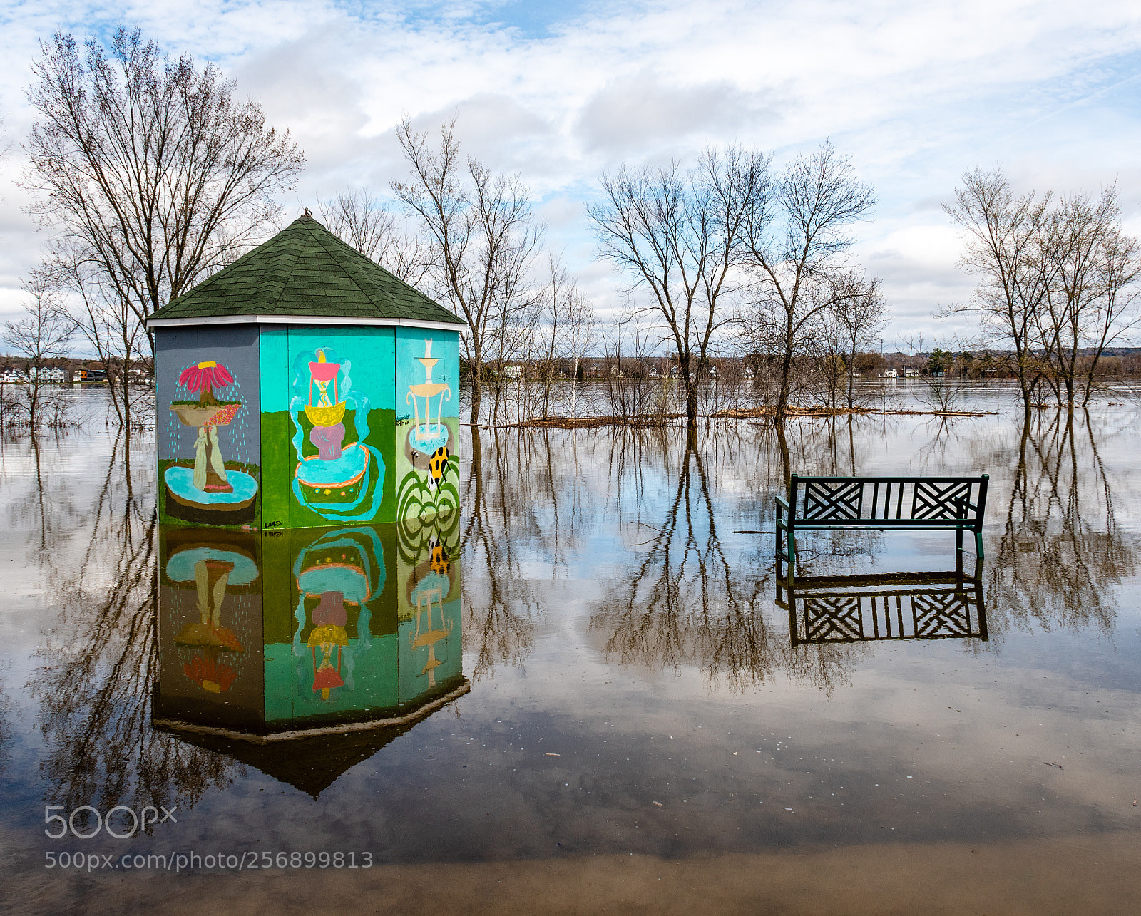 Nikon D500 sample photo. A flooded bench in photography