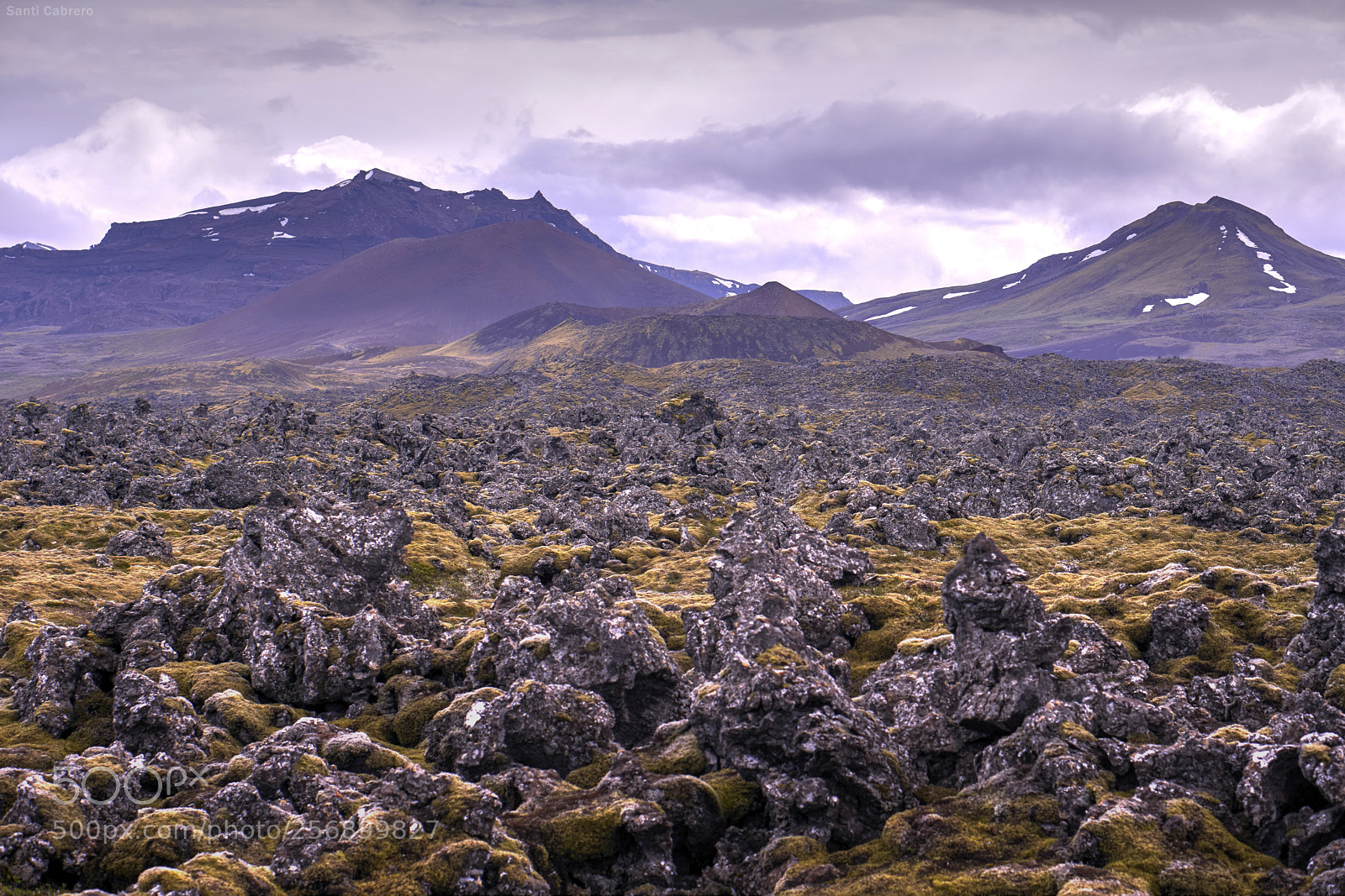 Sony a6000 sample photo. Musgo y rocas ii photography