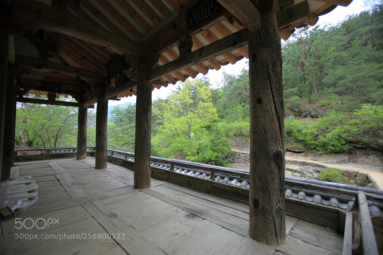 Canon EOS 5D Mark II sample photo. A reading place photography