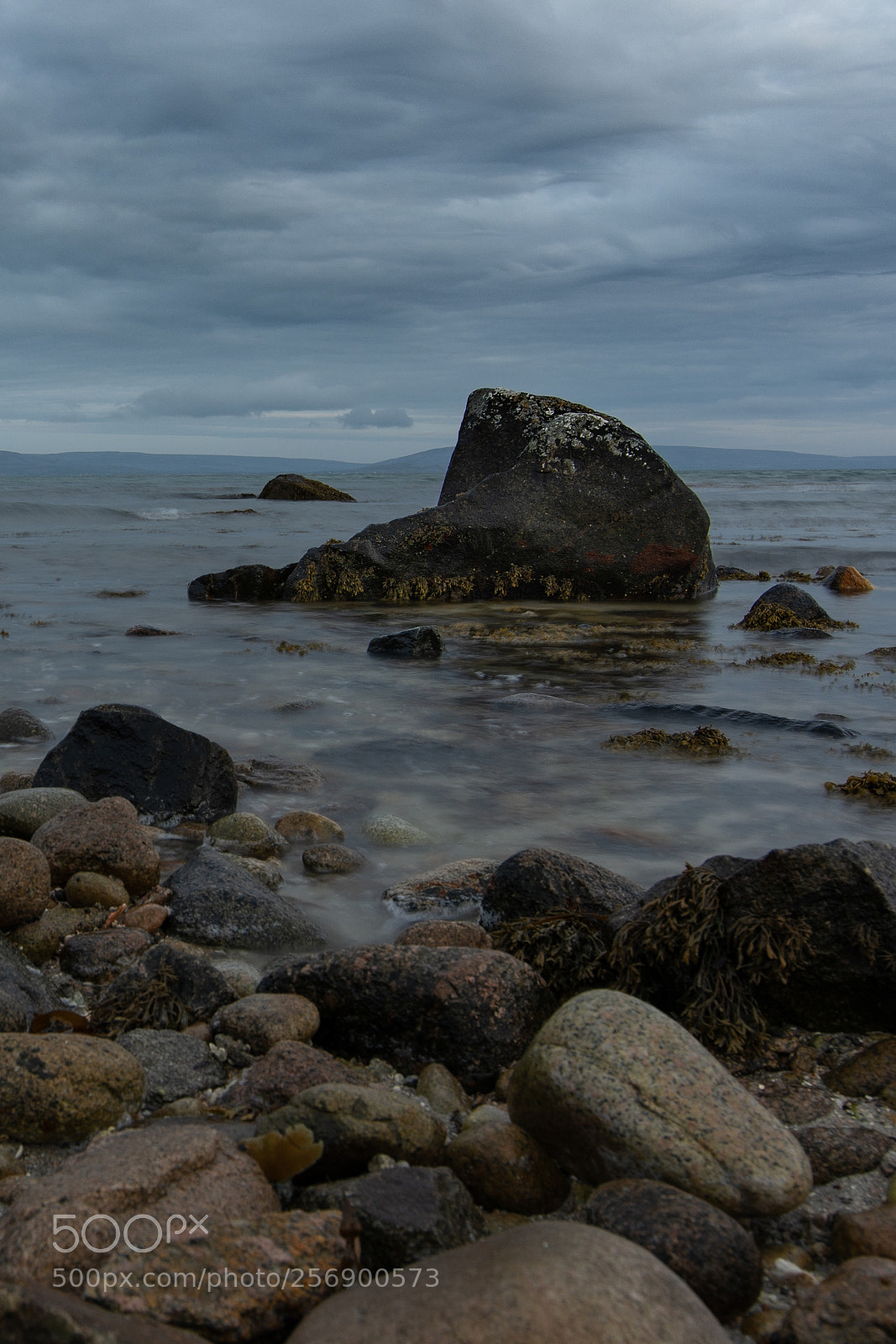Nikon D7200 sample photo. Untitled photography