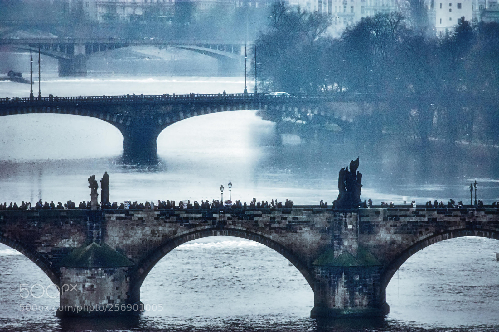 Nikon D7200 sample photo. Bridges in rain photography