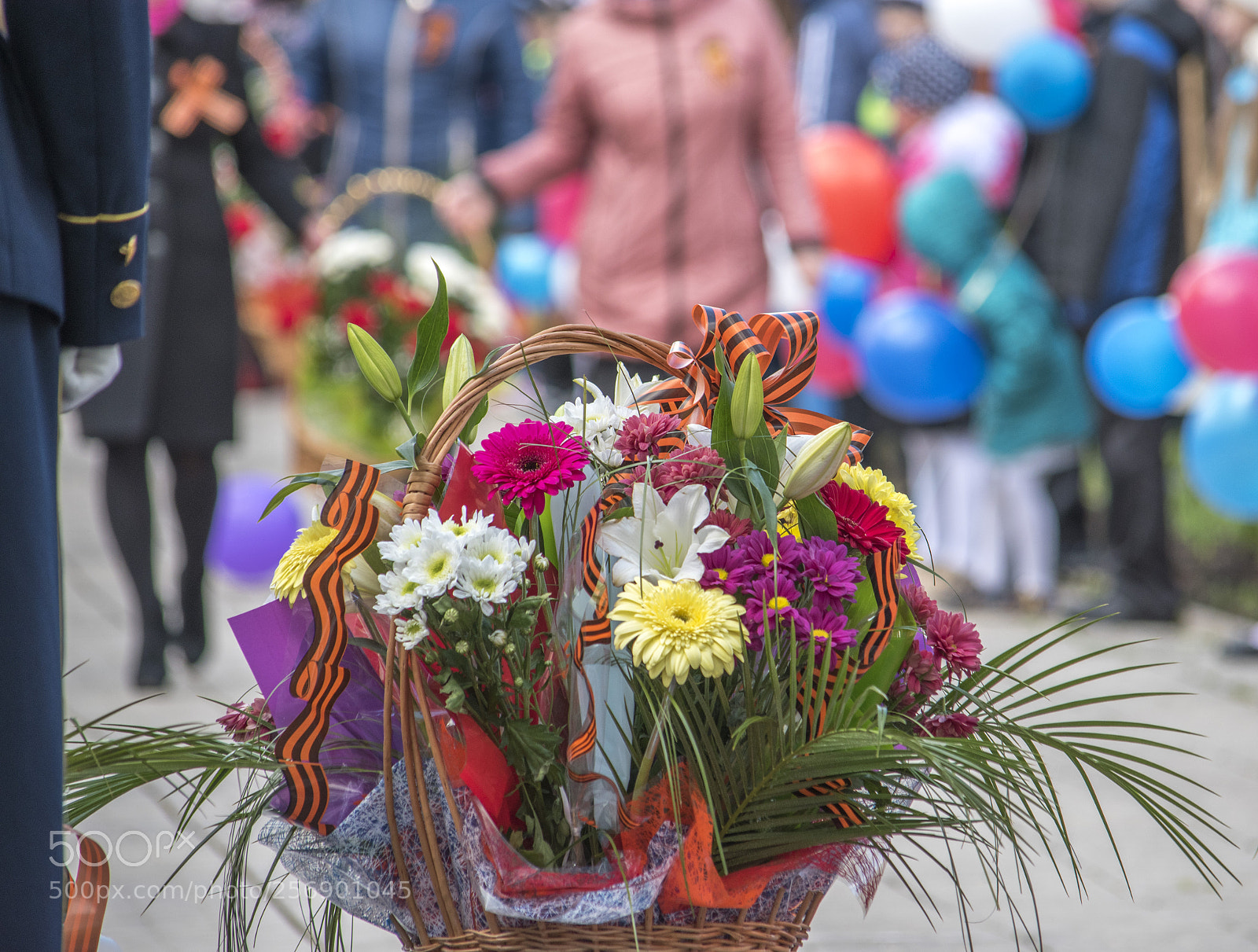Nikon D5500 sample photo. May 9 photography