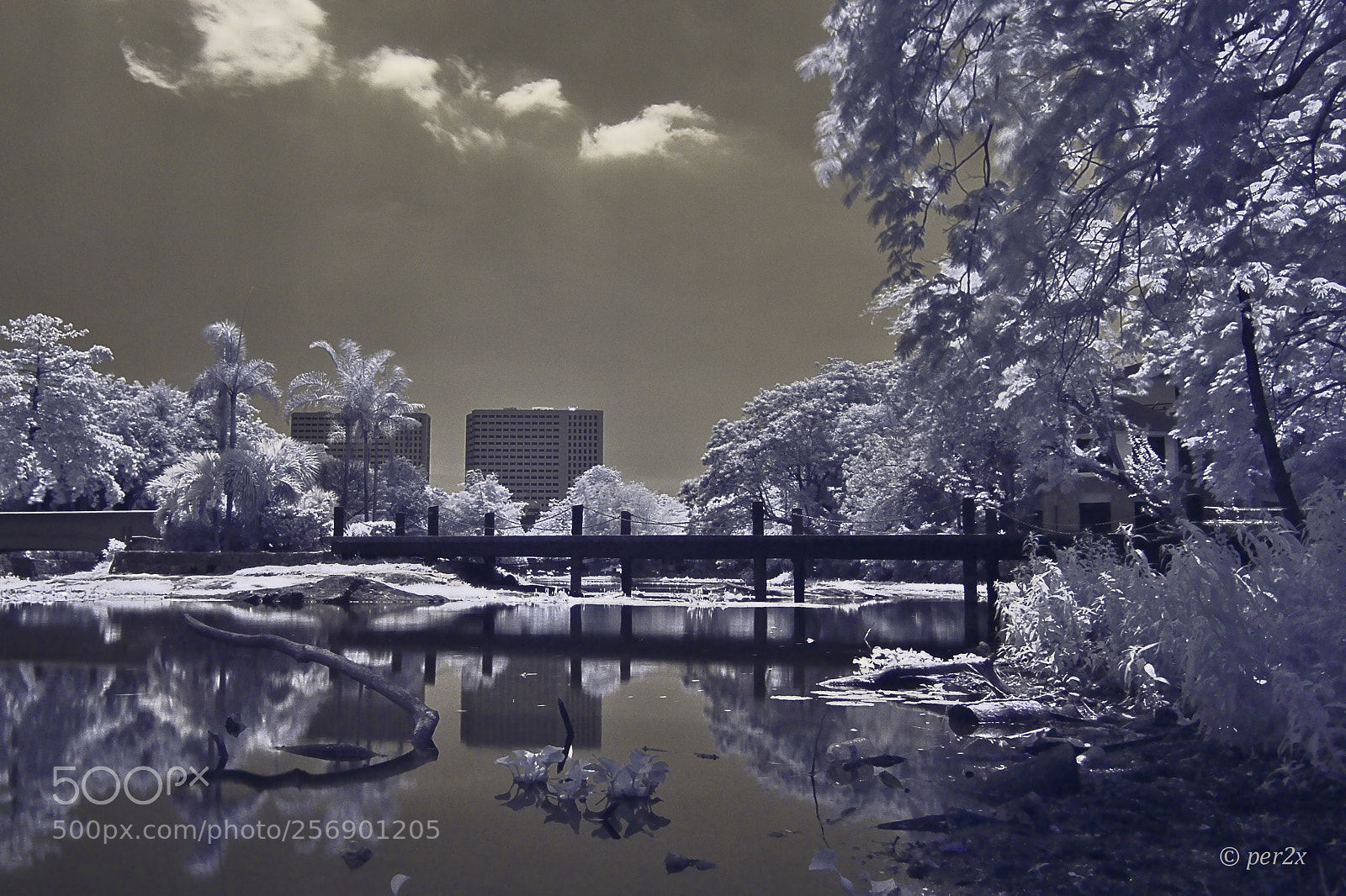 Olympus PEN E-PL3 sample photo. Ninoy aquino parks and photography