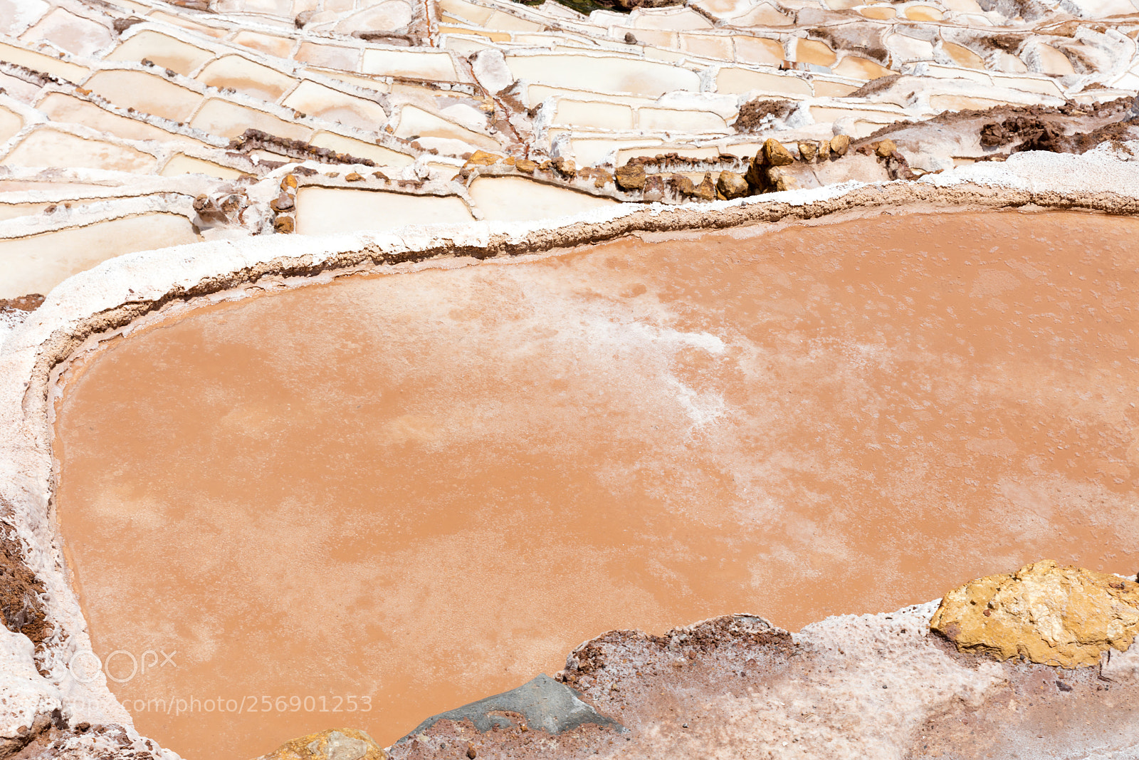 Canon EOS 5DS R sample photo. The salt flats of photography