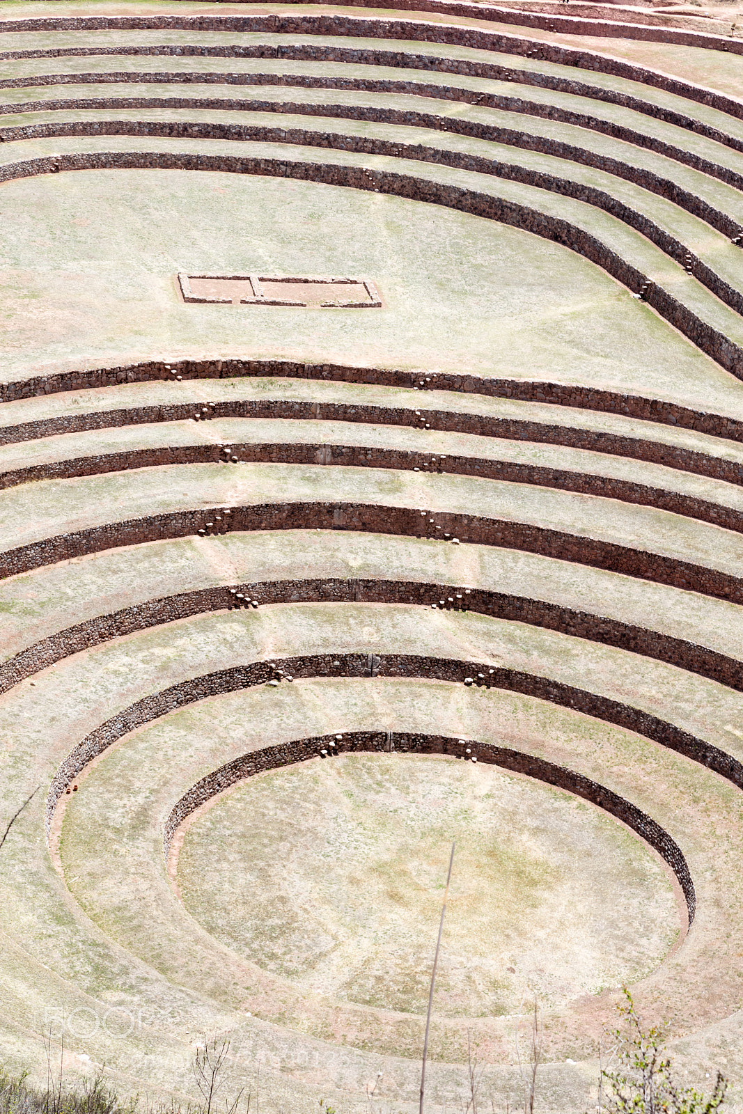 Canon EOS 5DS R sample photo. Circular terraces at moray photography