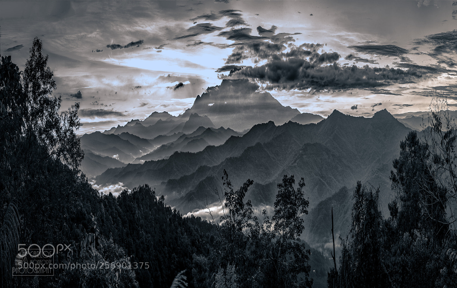 Canon EOS-1D X Mark II sample photo. Mountains in the jungle photography