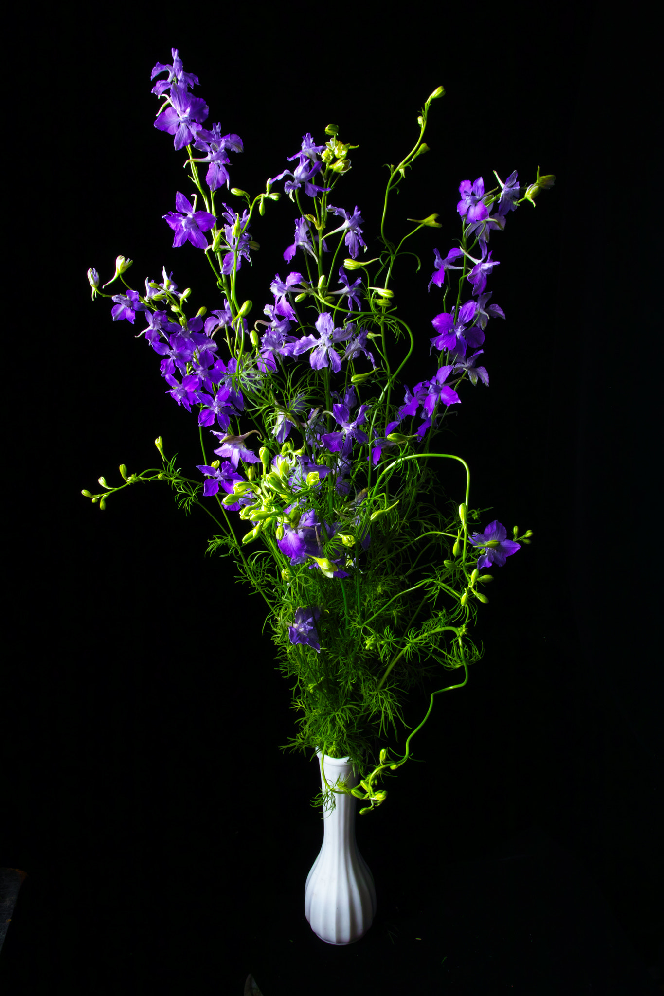 Sigma SD1 Merrill sample photo. 1946 photography
