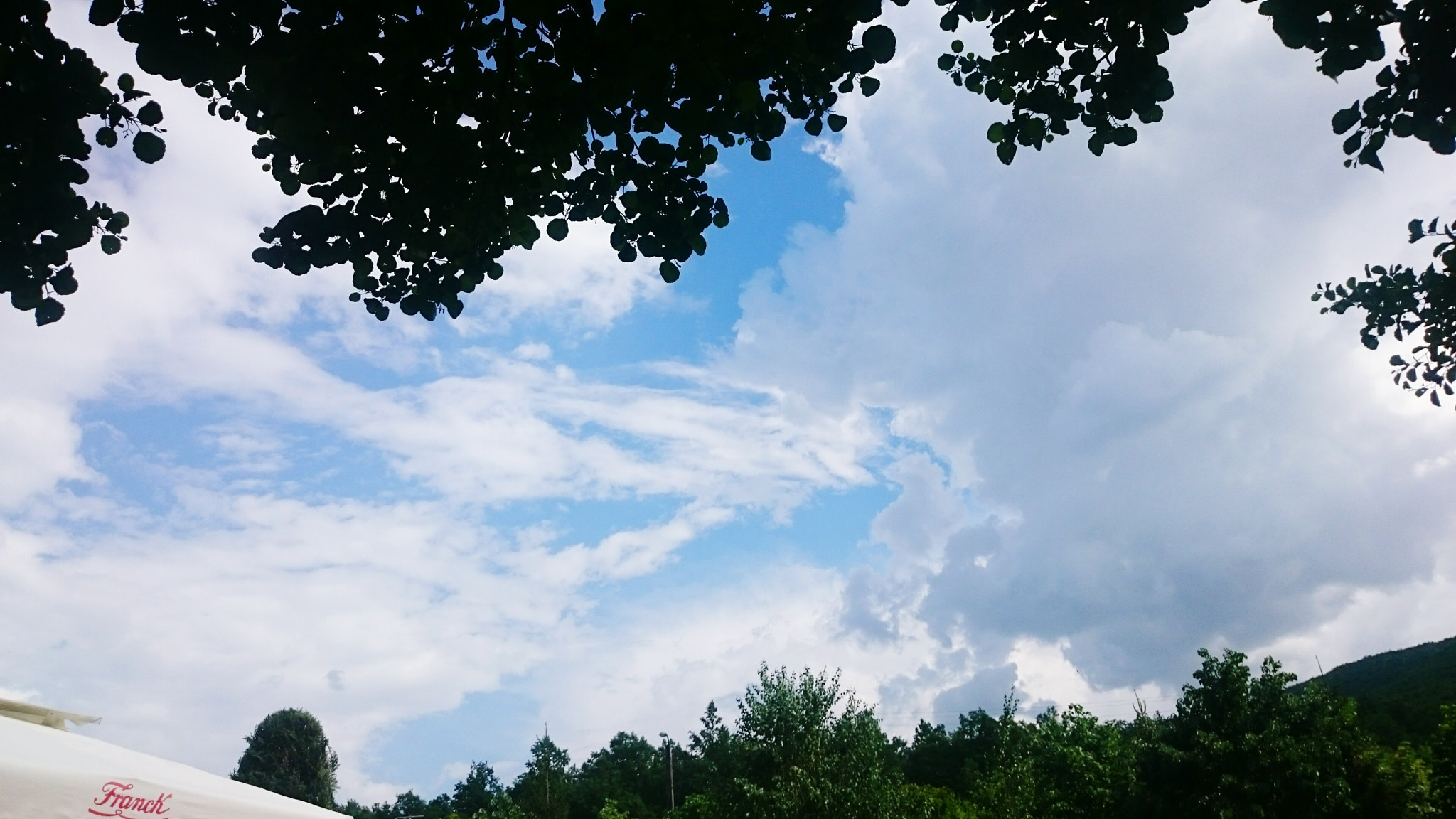 Sony Xperia Z2 sample photo. Forest sky photography