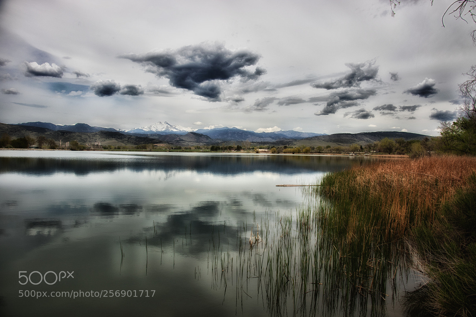 Canon EOS 7D Mark II sample photo. Cloudy day magic photography