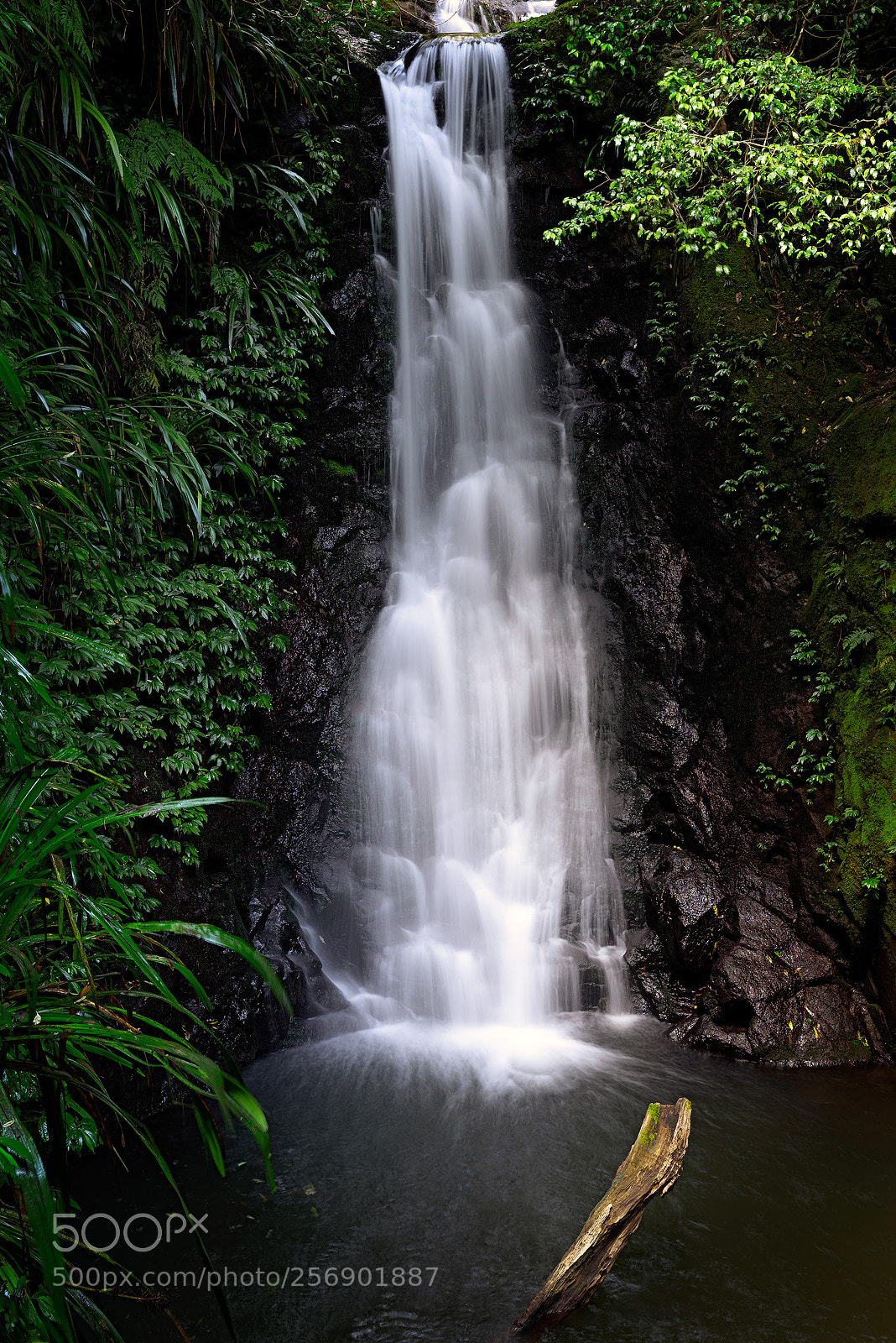 Nikon D750 sample photo. Waterfall toolona crt photography
