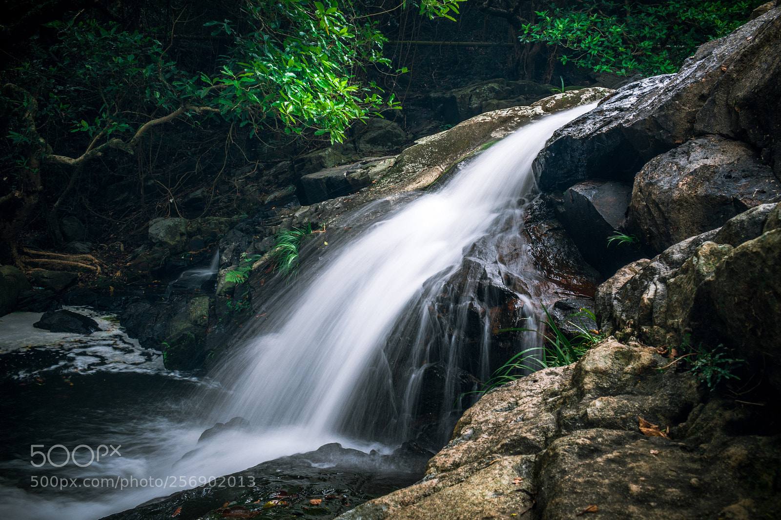 Nikon D3400 sample photo. Hong kong photography