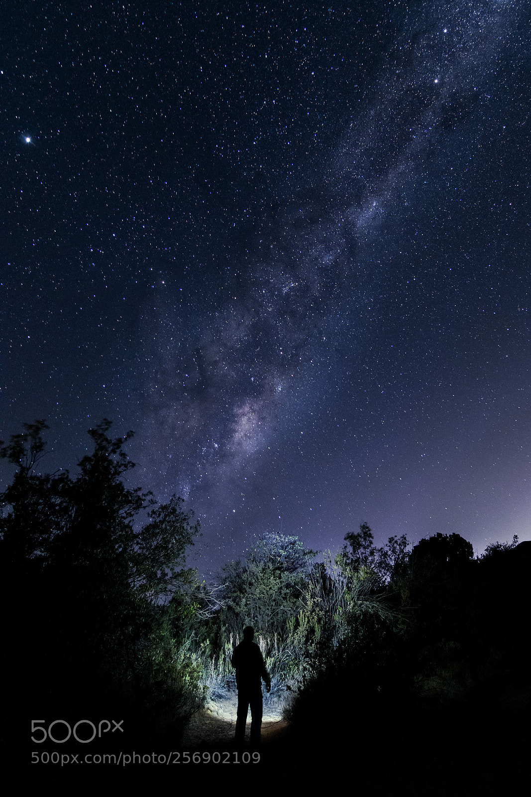 Nikon D3200 sample photo. Star chaser photography