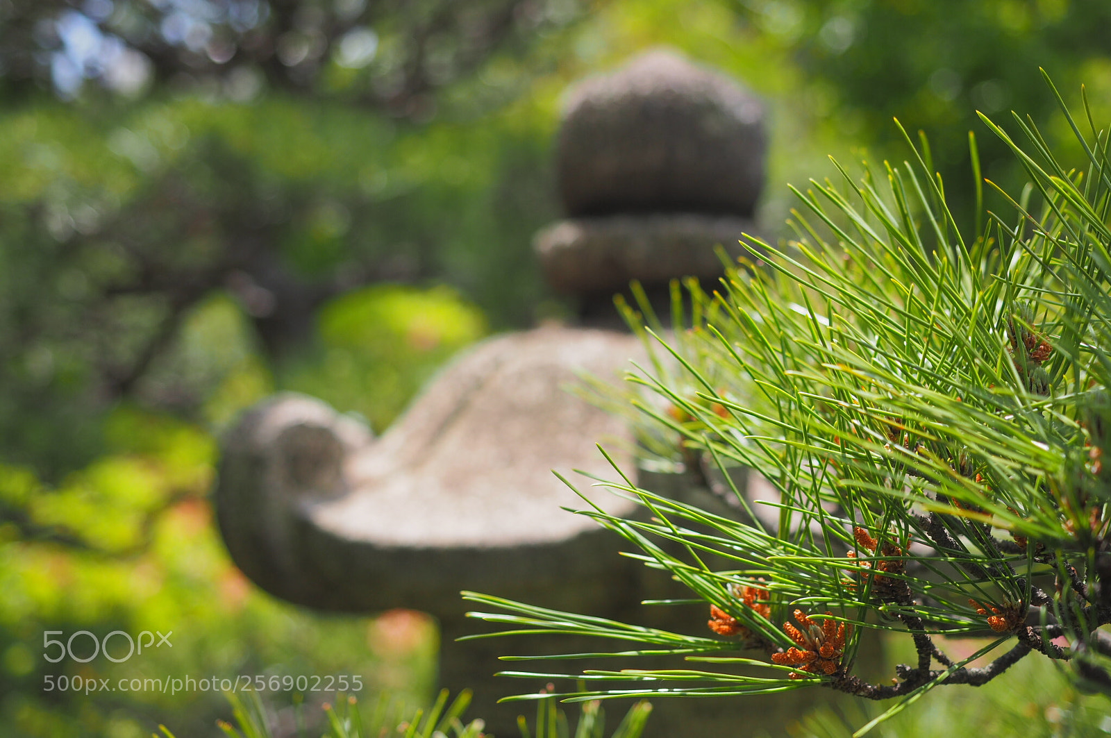 Olympus OM-D E-M10 II sample photo. Japanese garden stone lantern  photography
