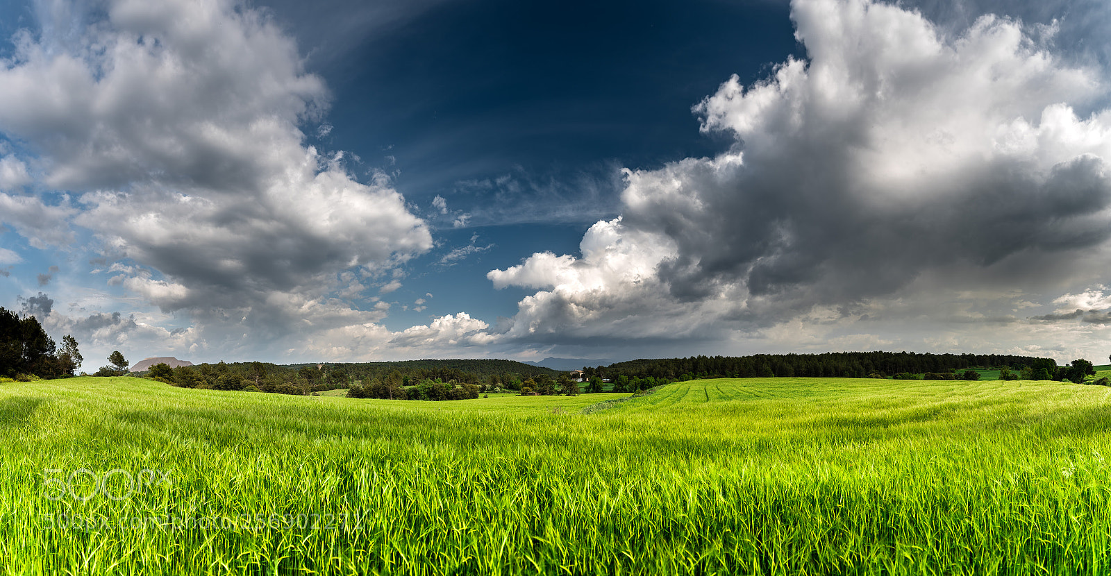 Nikon D750 sample photo. 100% spring photography