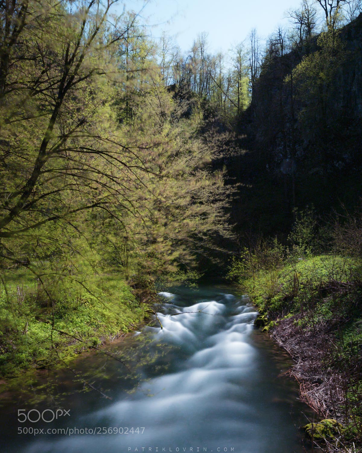 Canon EOS 80D sample photo. Mo ilnik springs in photography
