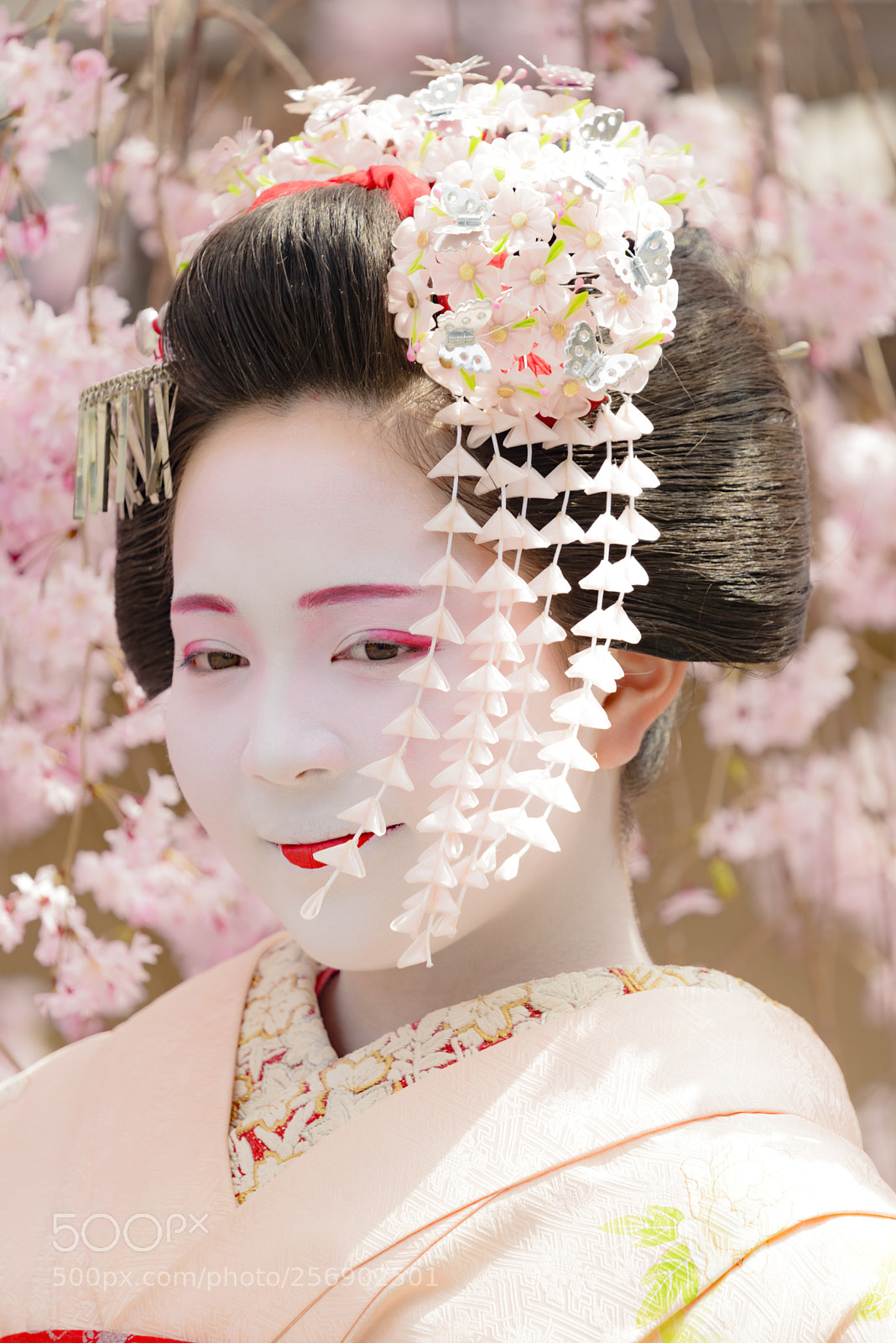 Nikon D800 sample photo. Spring breeze  bcfec o photography