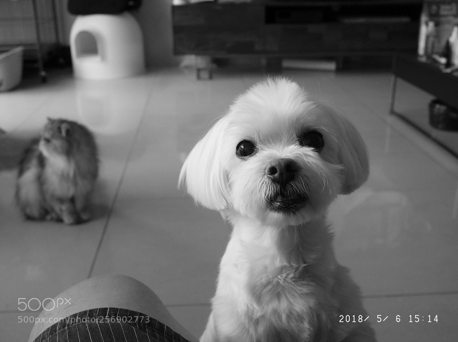 Ricoh GR II sample photo. R photography