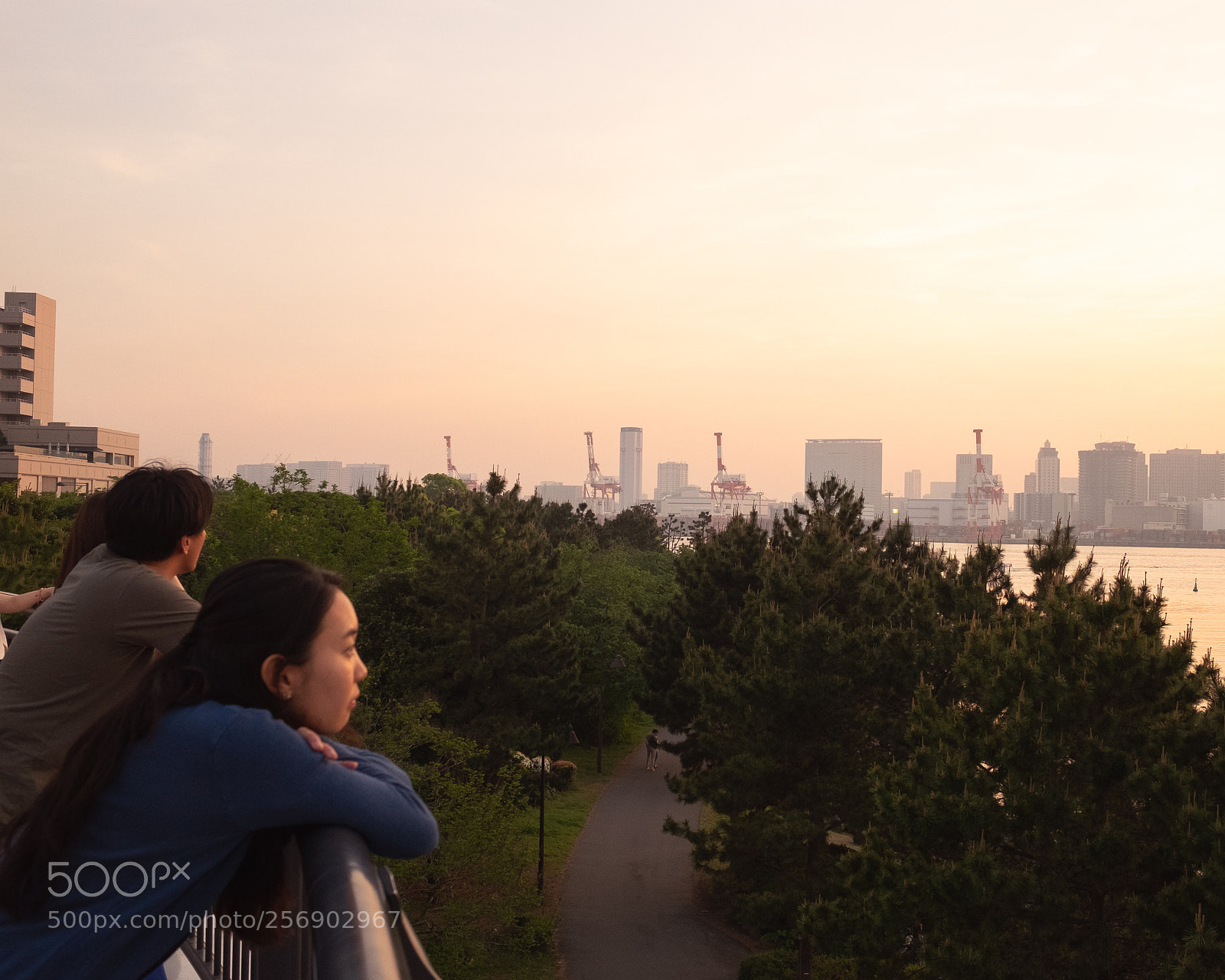 Fujifilm X-T10 sample photo. Untitled photography