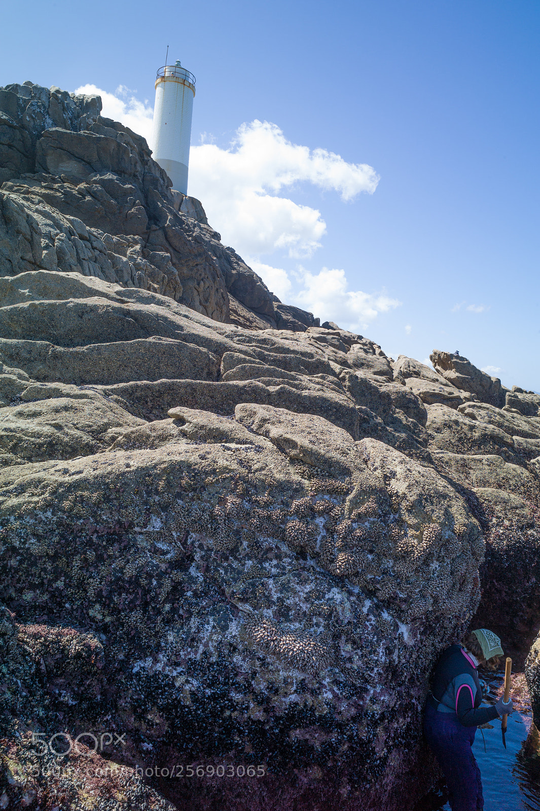 Leica M9 sample photo. Percebeiros in galicia photography