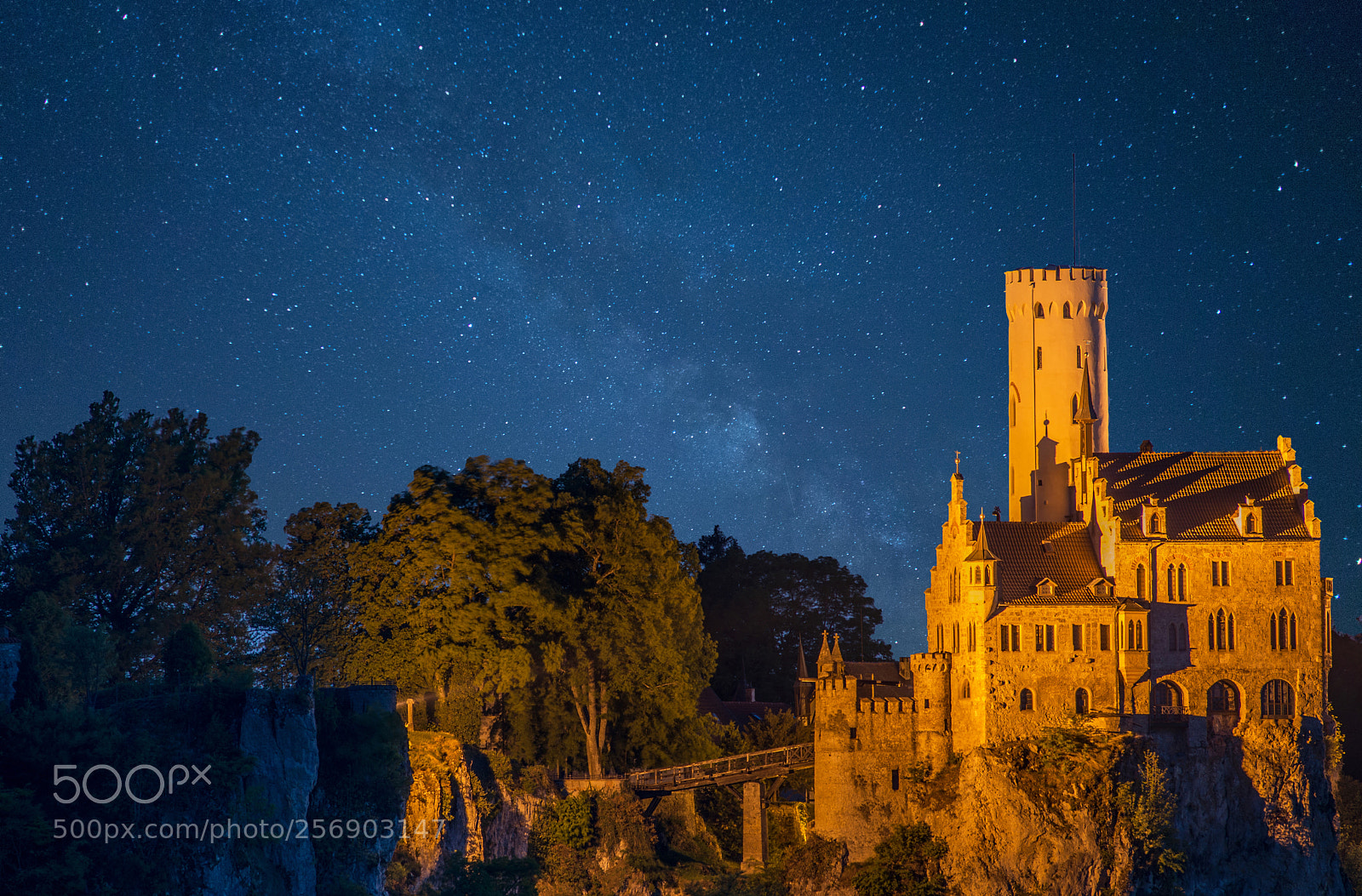 Nikon D600 sample photo. Schloss lichtenstein in the photography