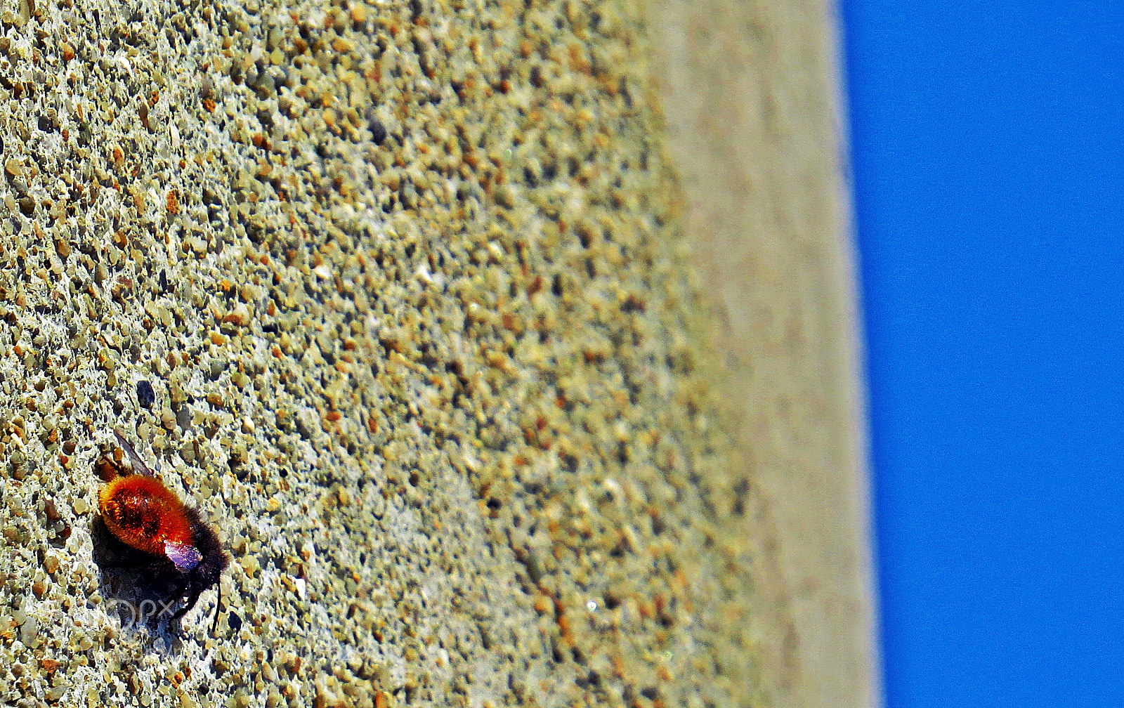 Canon PowerShot SX50 HS sample photo. Ready to fly photography