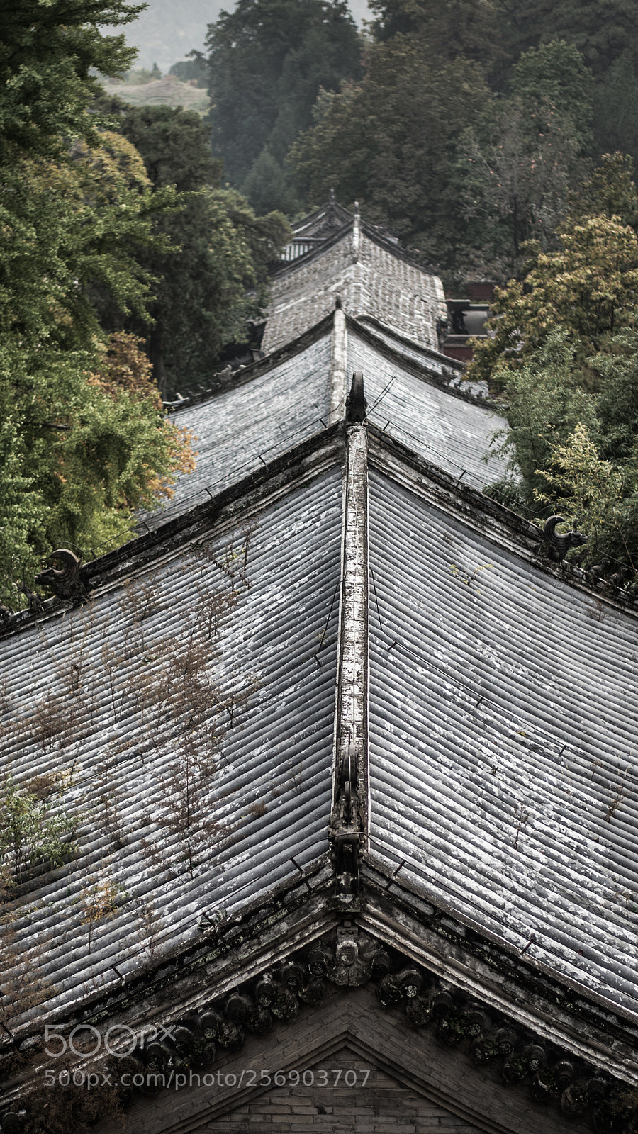 Nikon D610 sample photo. Tanzhesi temple (潭柘寺) photography