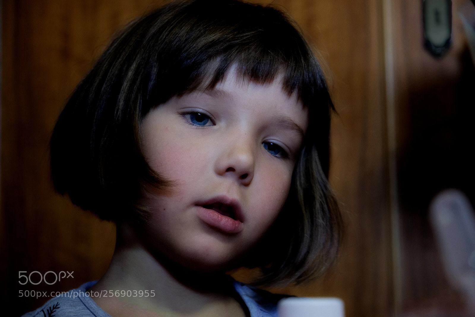 Fujifilm X-T20 sample photo. Bb photography