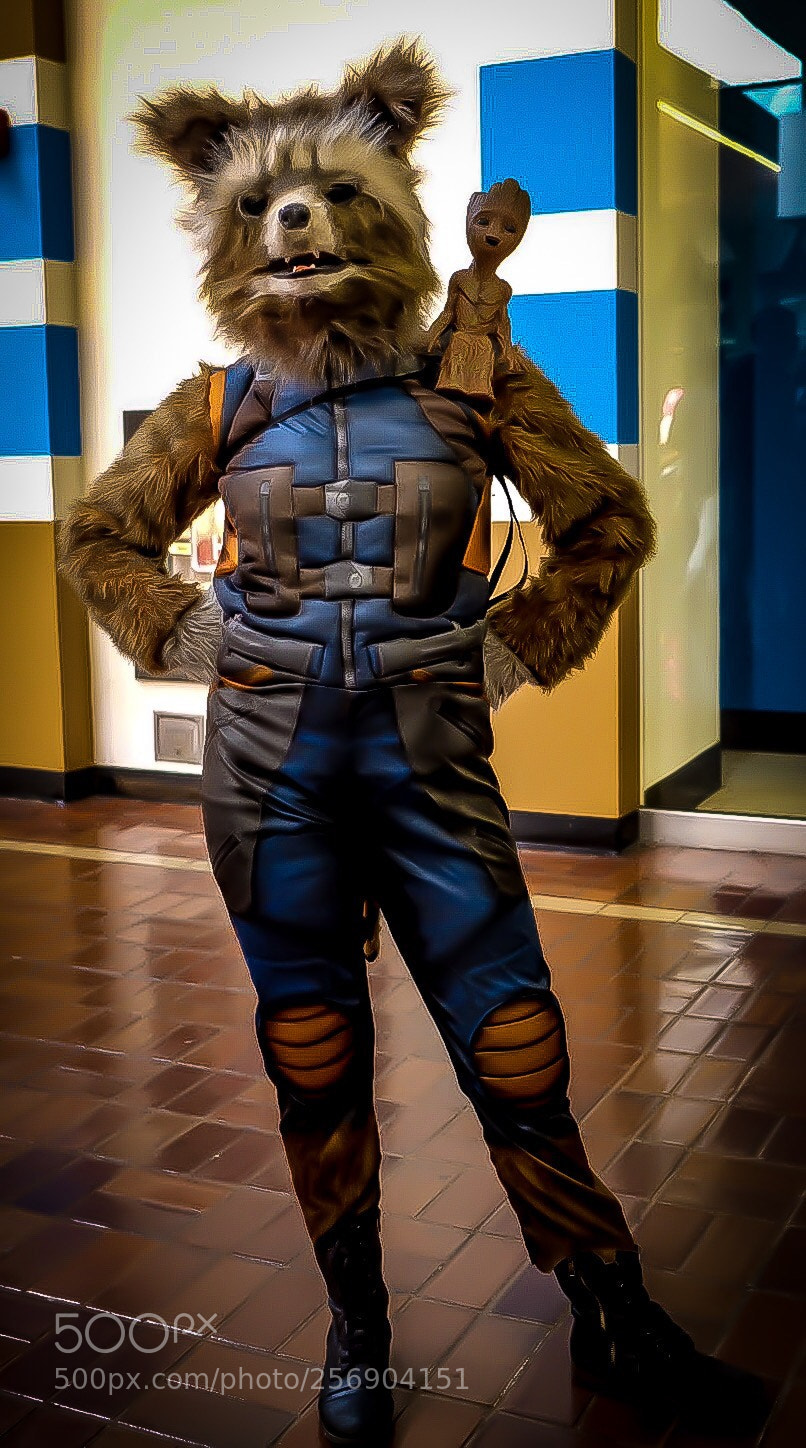 Fujifilm X-Pro2 sample photo. Rocket the raccoon photography