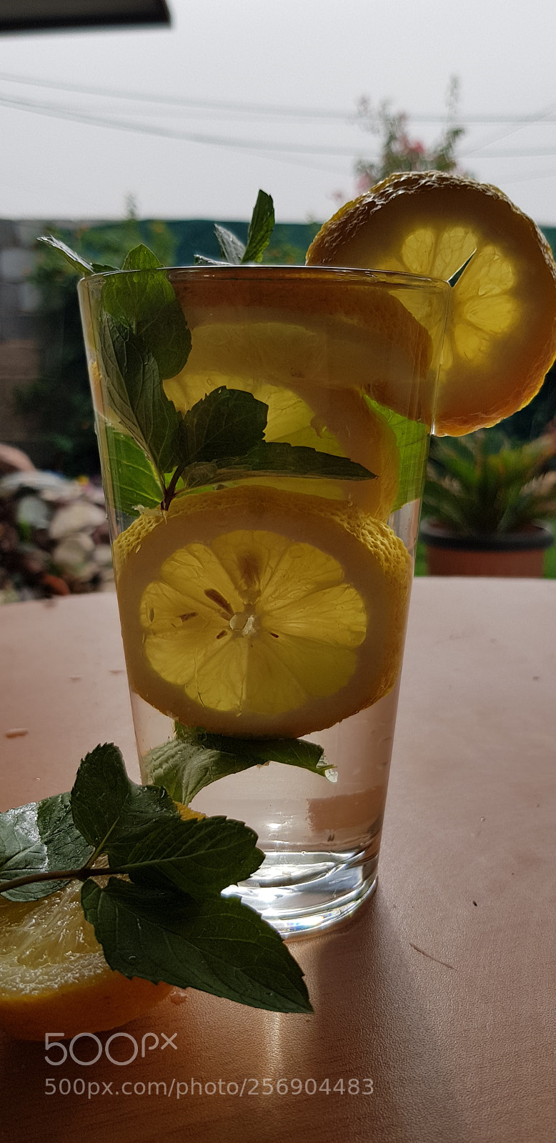 Samsung Galaxy S8+ sample photo. Untitled photography