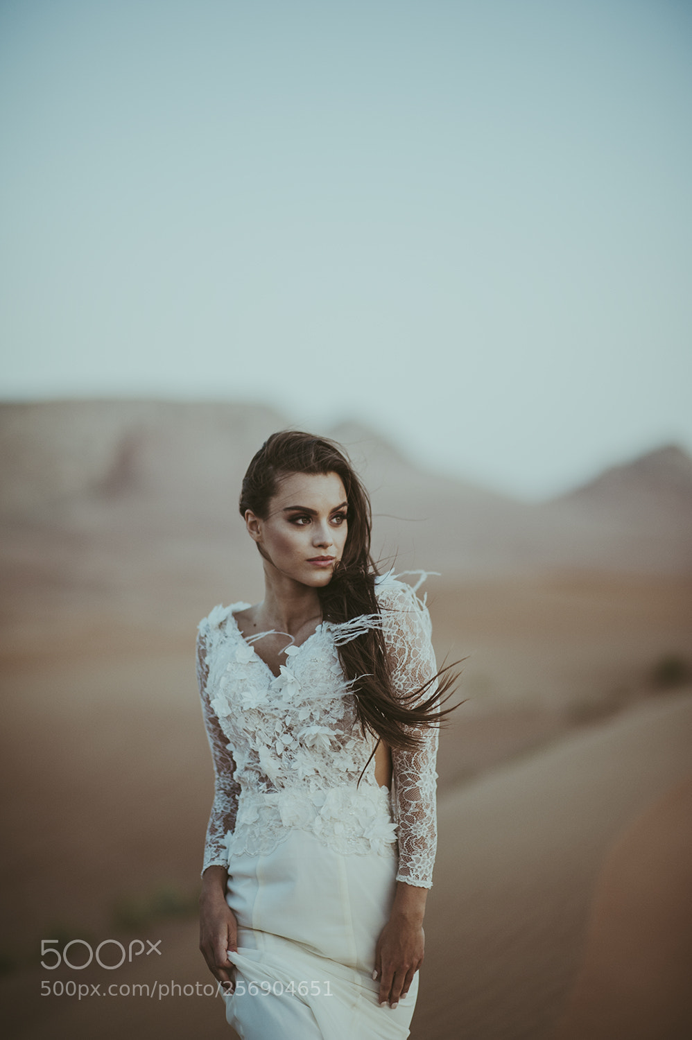 Nikon D700 sample photo. Desert love photography