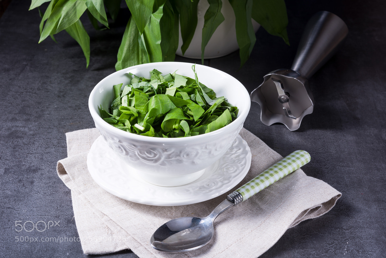 Nikon D810 sample photo. Wild garlic stripes for photography