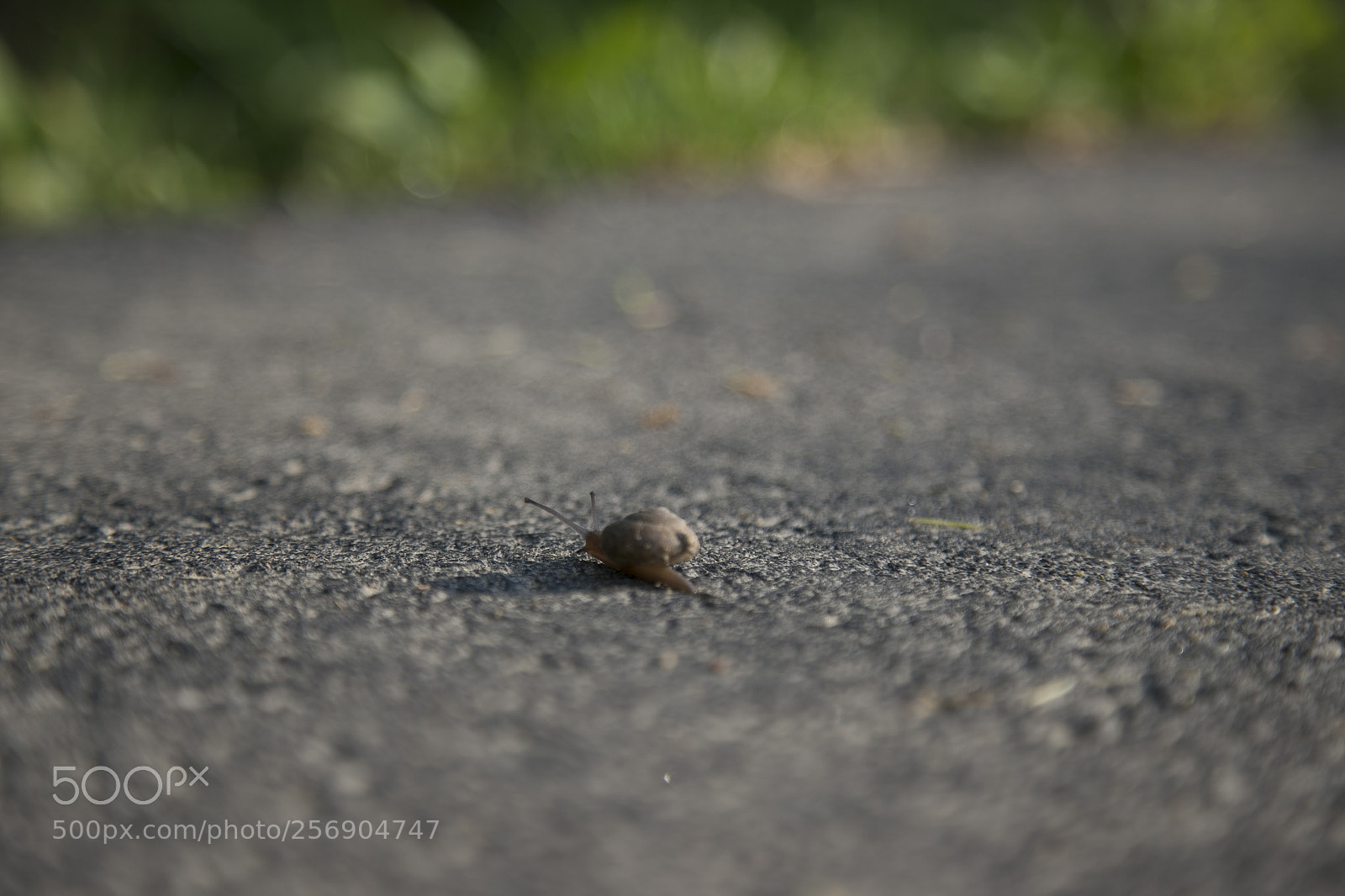 Canon EOS 6D sample photo. 007.jpg photography