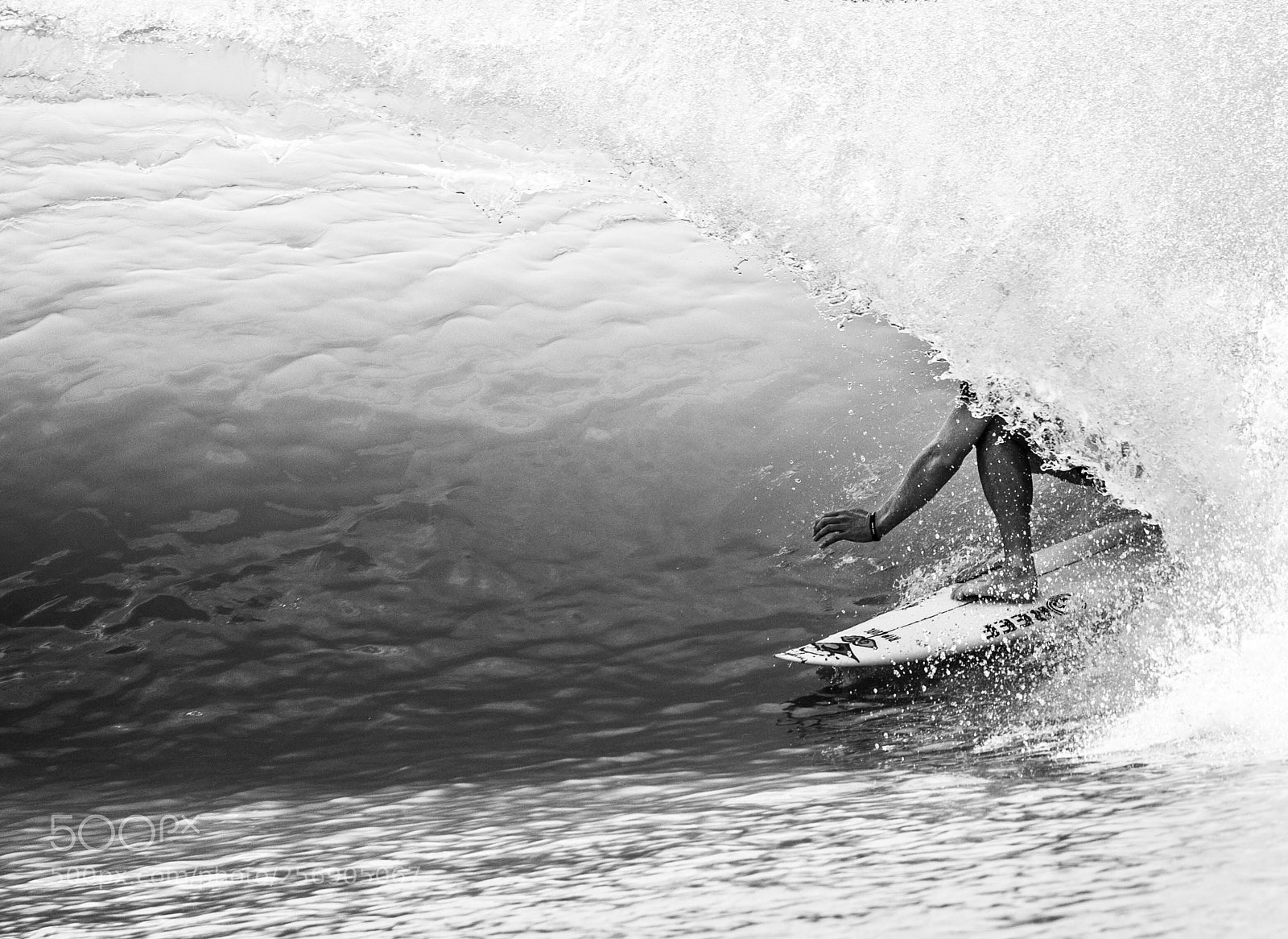 Canon EOS-1D X Mark II sample photo. Fanning 001 photography