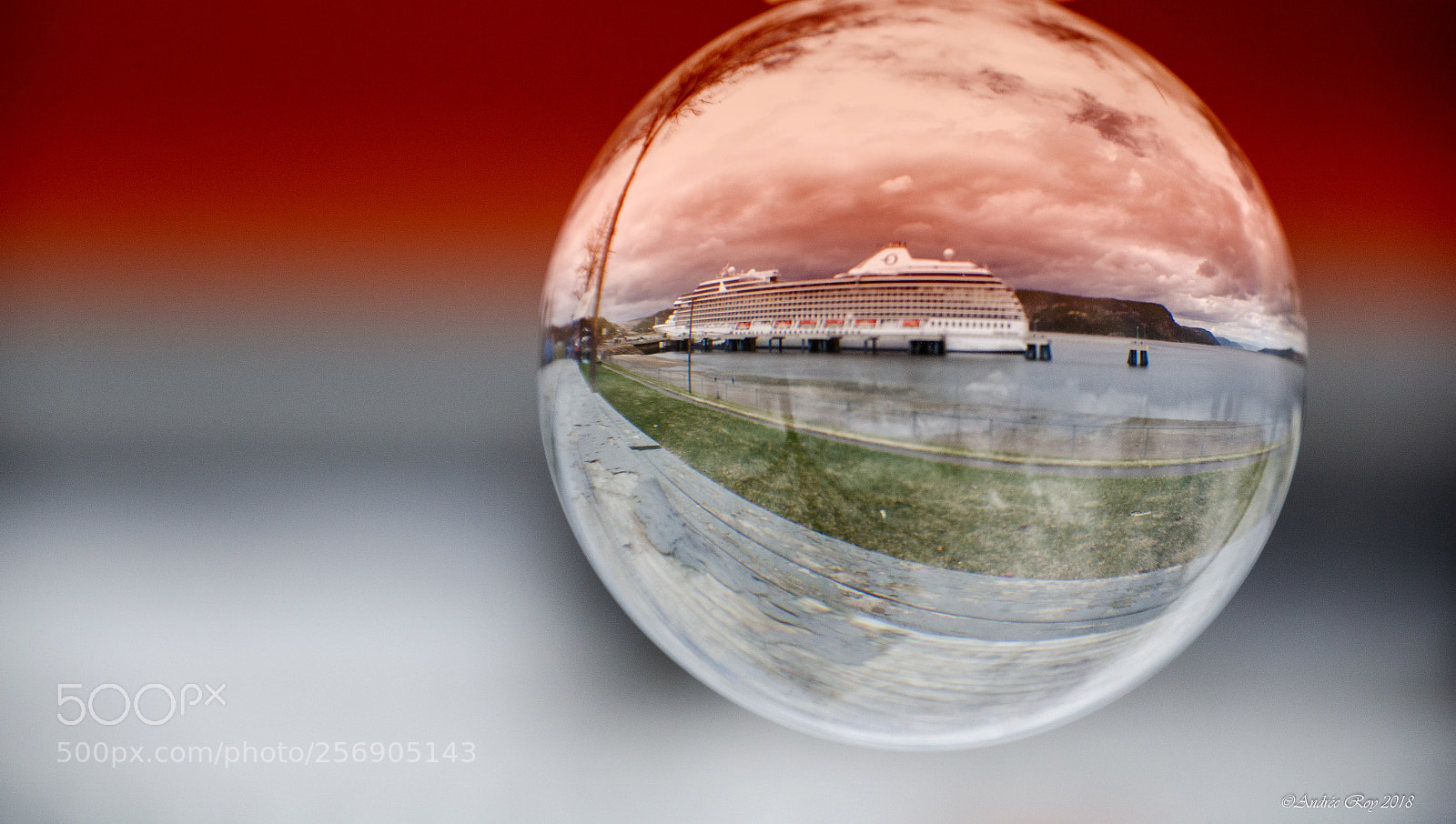 Nikon D5100 sample photo. Dans ma boule je photography