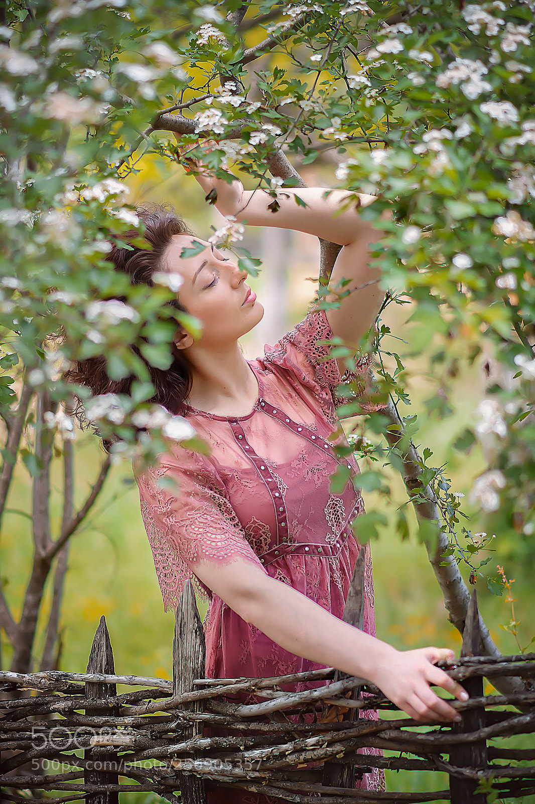 Nikon D7100 sample photo. Spring blossom photography