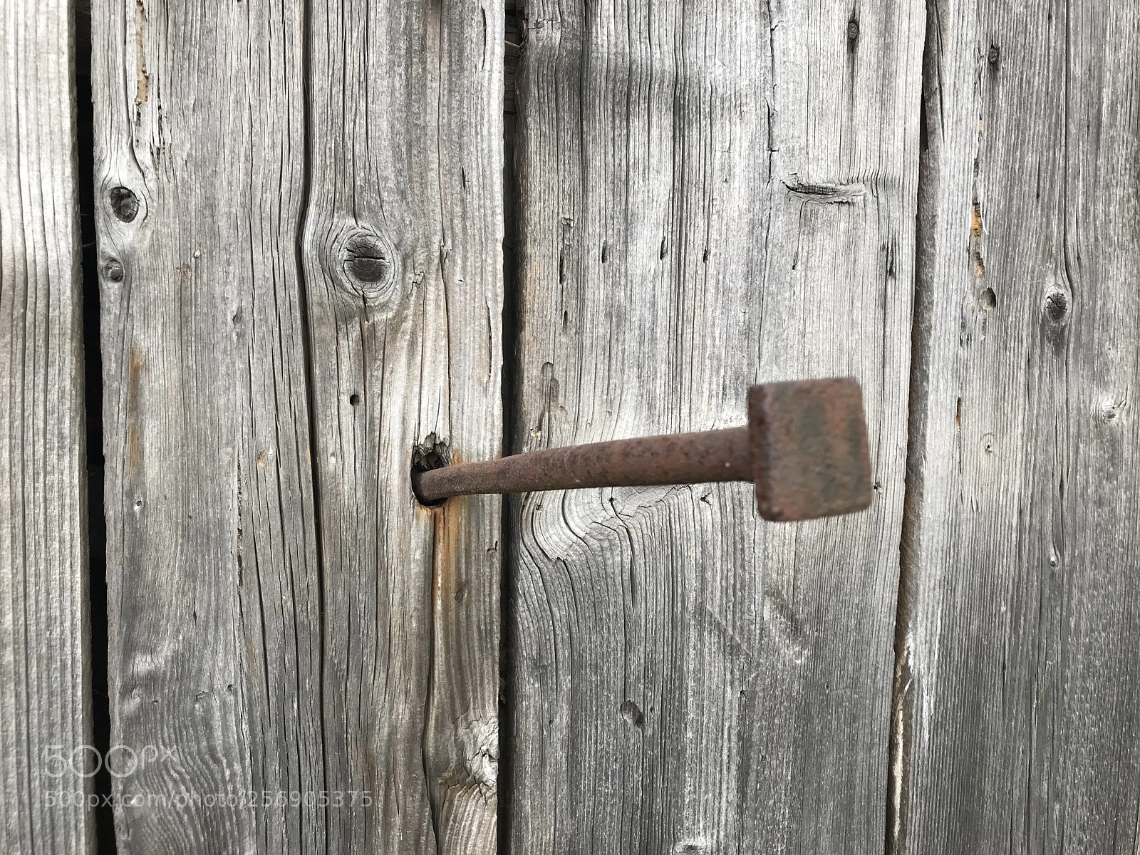 Apple iPhone 7 sample photo. Old wood photography